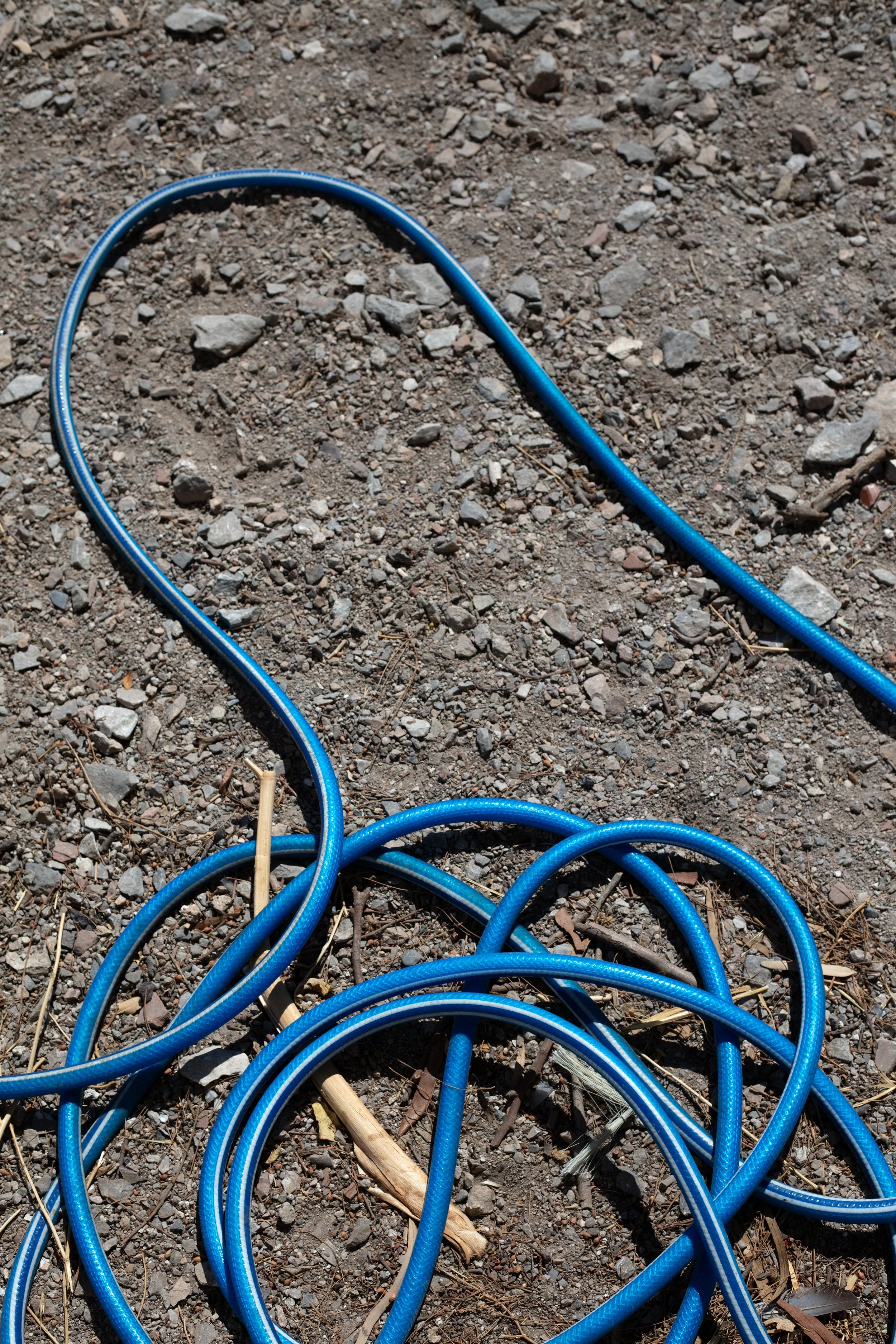 2P1A0153_retouch.jpg