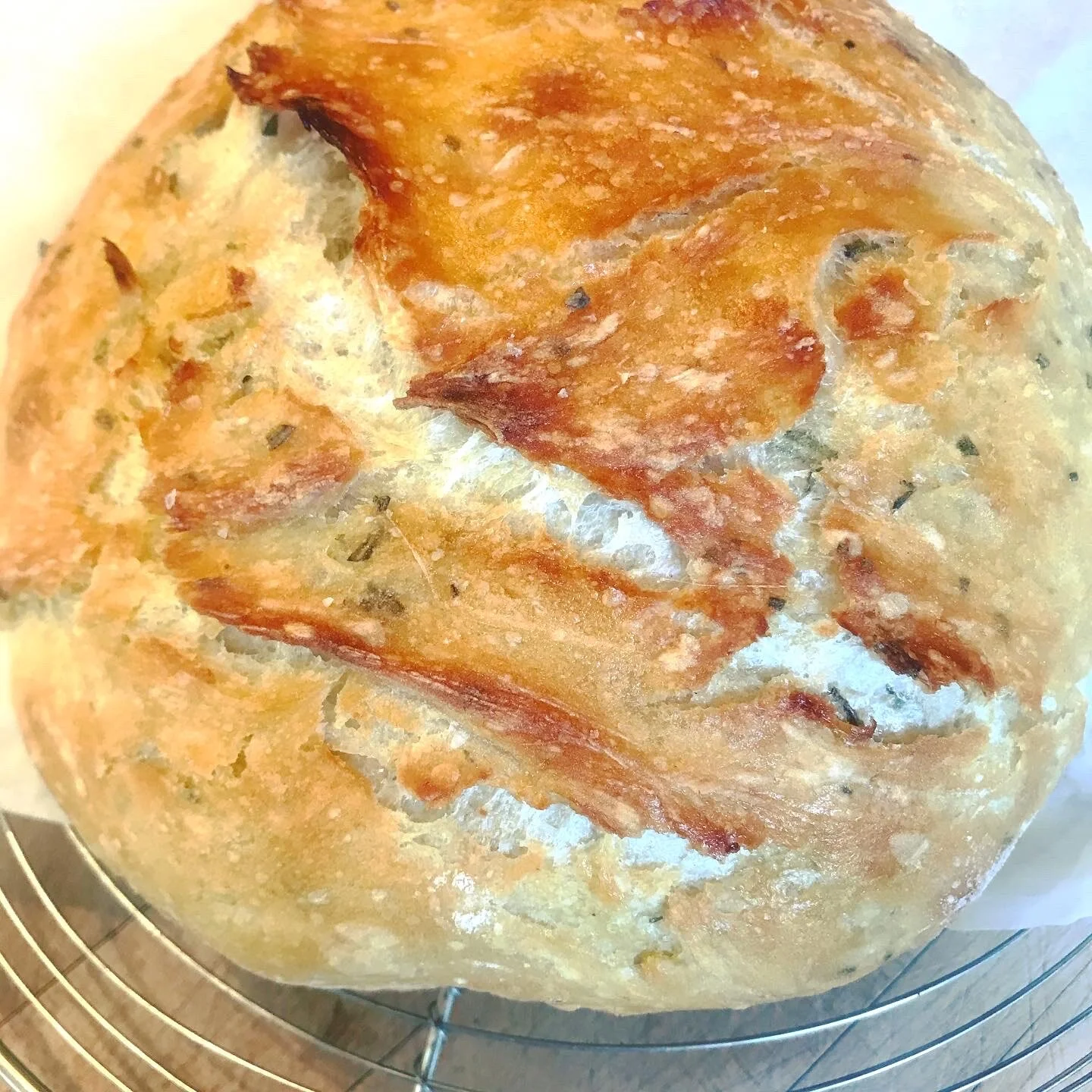 No- Knead Rosemary &amp; Garlic Bread