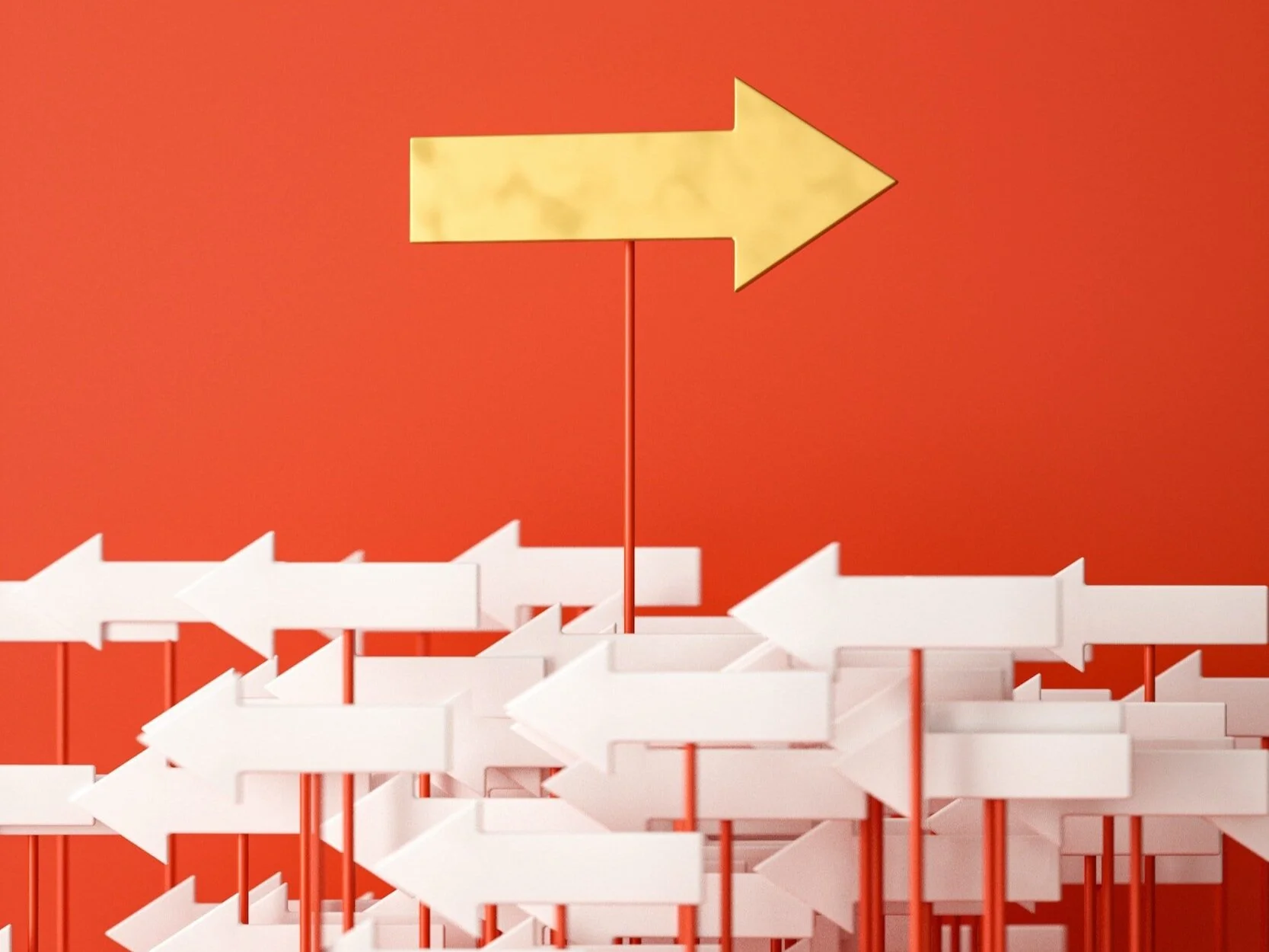 Nurturing Growth Through Guided Transformation