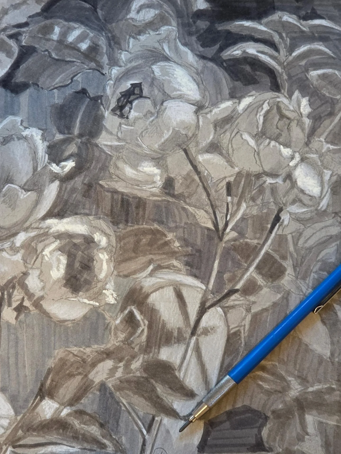 Dune Roses in the morning light.
Just drawing. 
I start all my paintings with a value study.
Drawing isn't only a study or practice its where I've learned to develop my visual language.