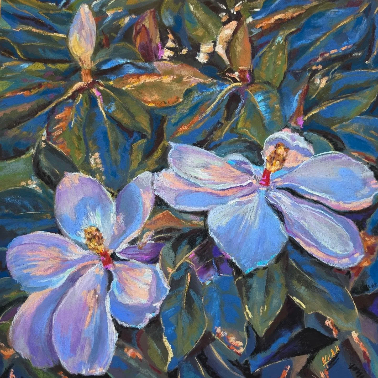 Moonlit Magnolias
12X12 Softpastel 

I started with a gouache color study to focus on the color palette 🎨 I played with and tweaked the color to create a warm glow.  I added some copper &amp; gold metallic pastels.  My favorite part was the light pe