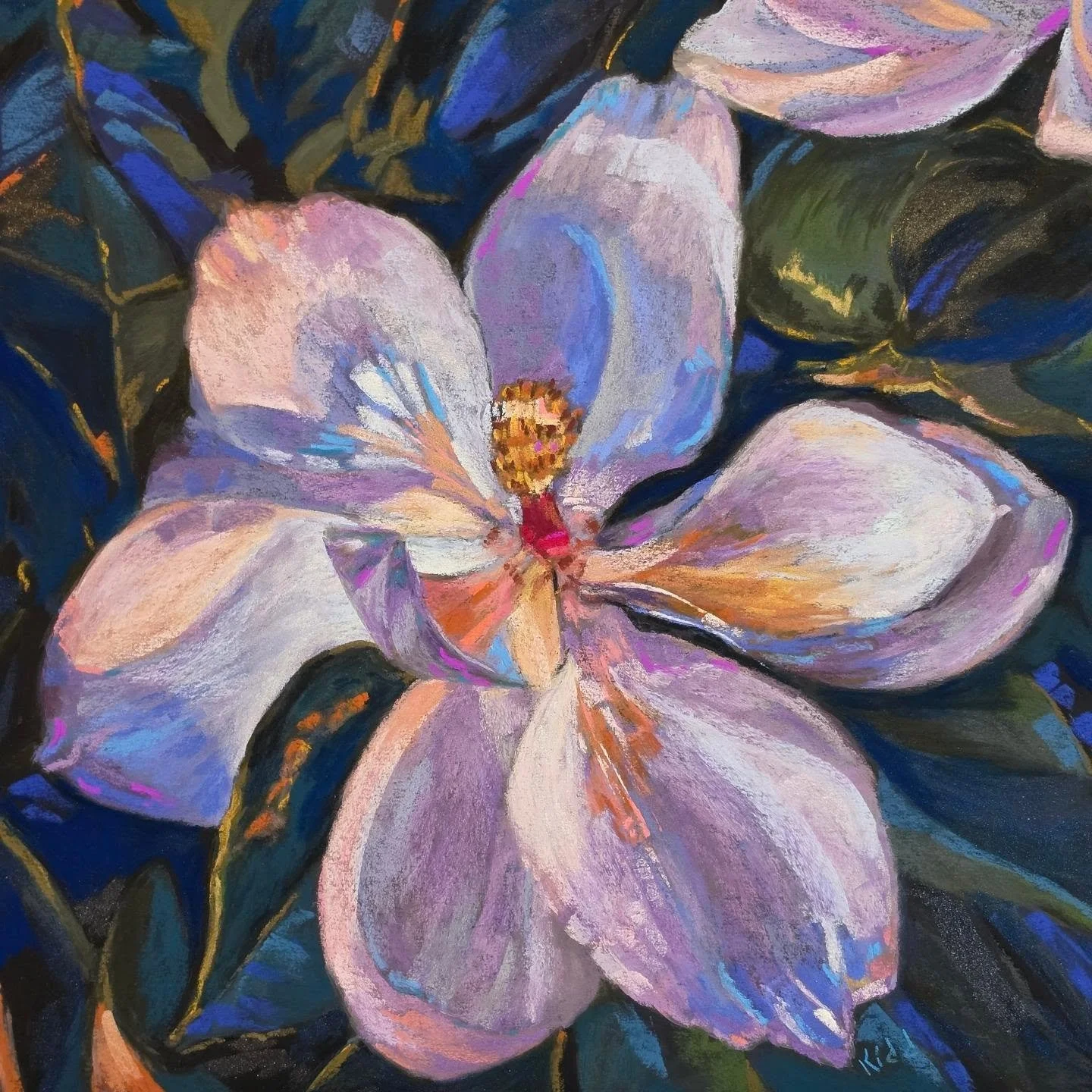Midnight Magnolia 
12X12 Softpastel on UART400 Dark

This past April all the Magnolia trees in Frisco Tx, were blooming.  They were so stunning.  I found this one while looking for a spot to pleinair paint a nocturne.  The Magnolias were glowing at n