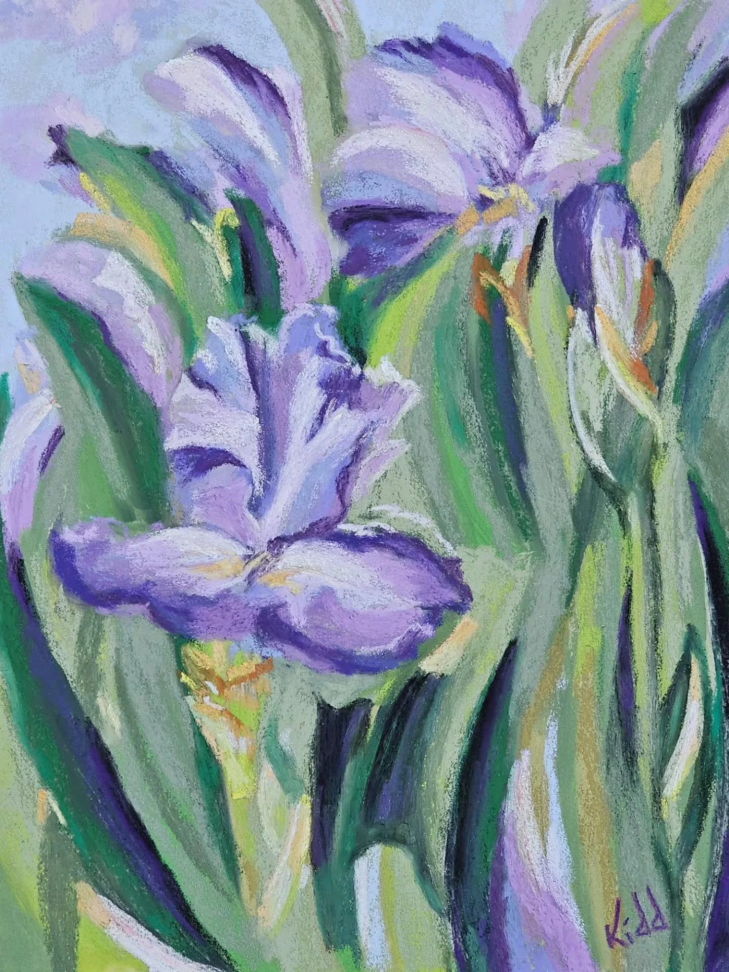 Lilac Irises *Sold
Painted EnPlein 🎨 
2024 Frisco EnPlein Competition 

She has some sparkle ✨️ I used a touch of Terry Ludwig irredicent pastels in the lightest lilac color.

Do you ever notice the beautiful sparkel