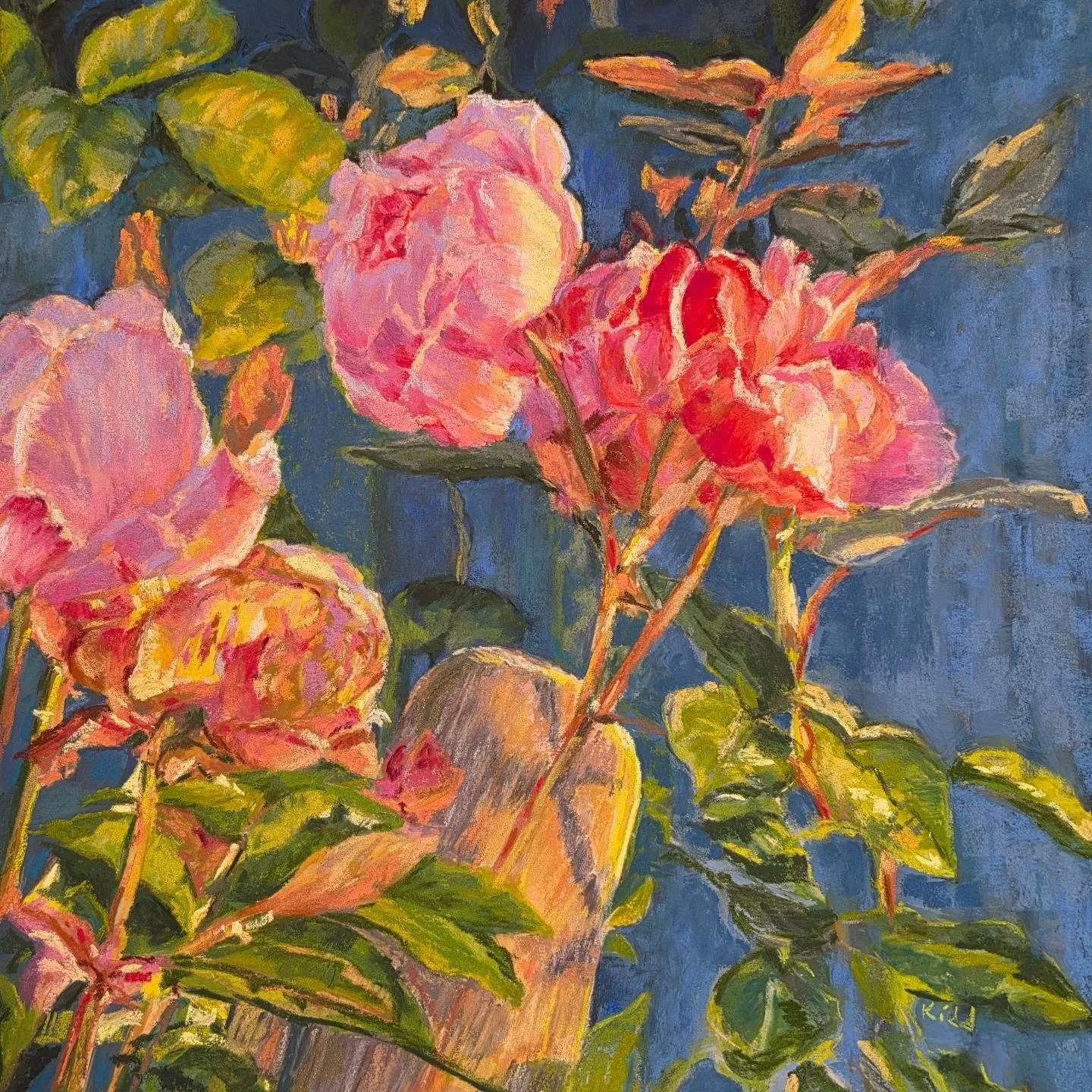 Dune Roses Fading Beauty 
12X12 
Softpastel 

I painted 🎨 this first enplein then in the studio, at The Rogers Memorial Library Rose Garden in Southampton NY.  I took some beautiful photos durring sunrise capturing to golden light on the roses. 
I k