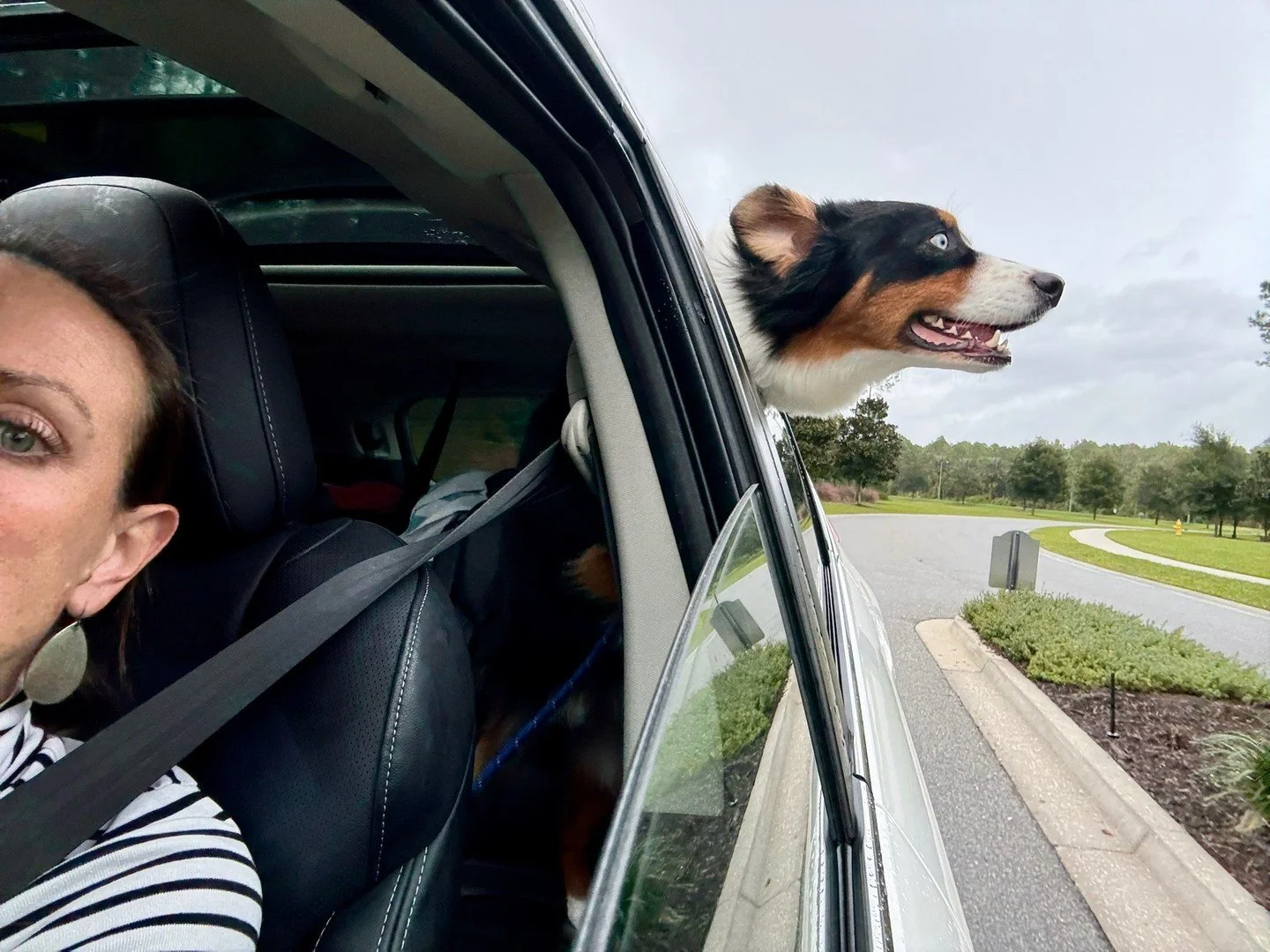 Sometimes the best reminder to enjoy the ride comes from the passenger seat.

In the rush to plan and perform, it is easy to forget that leadership is also about joy, curiosity, and being present in the moment.

Wherever you are headed, do not forget