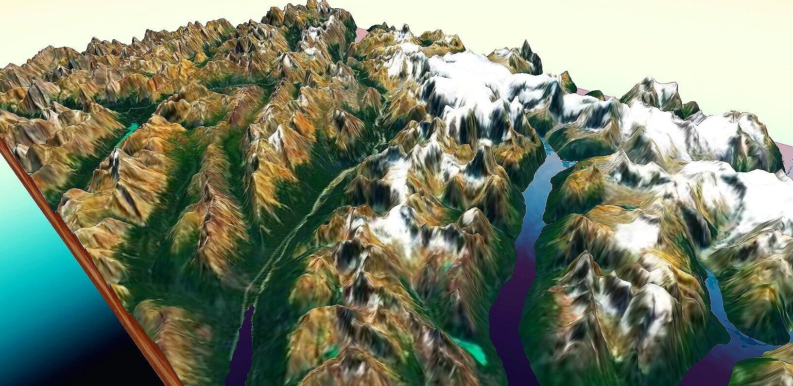 image.jpg