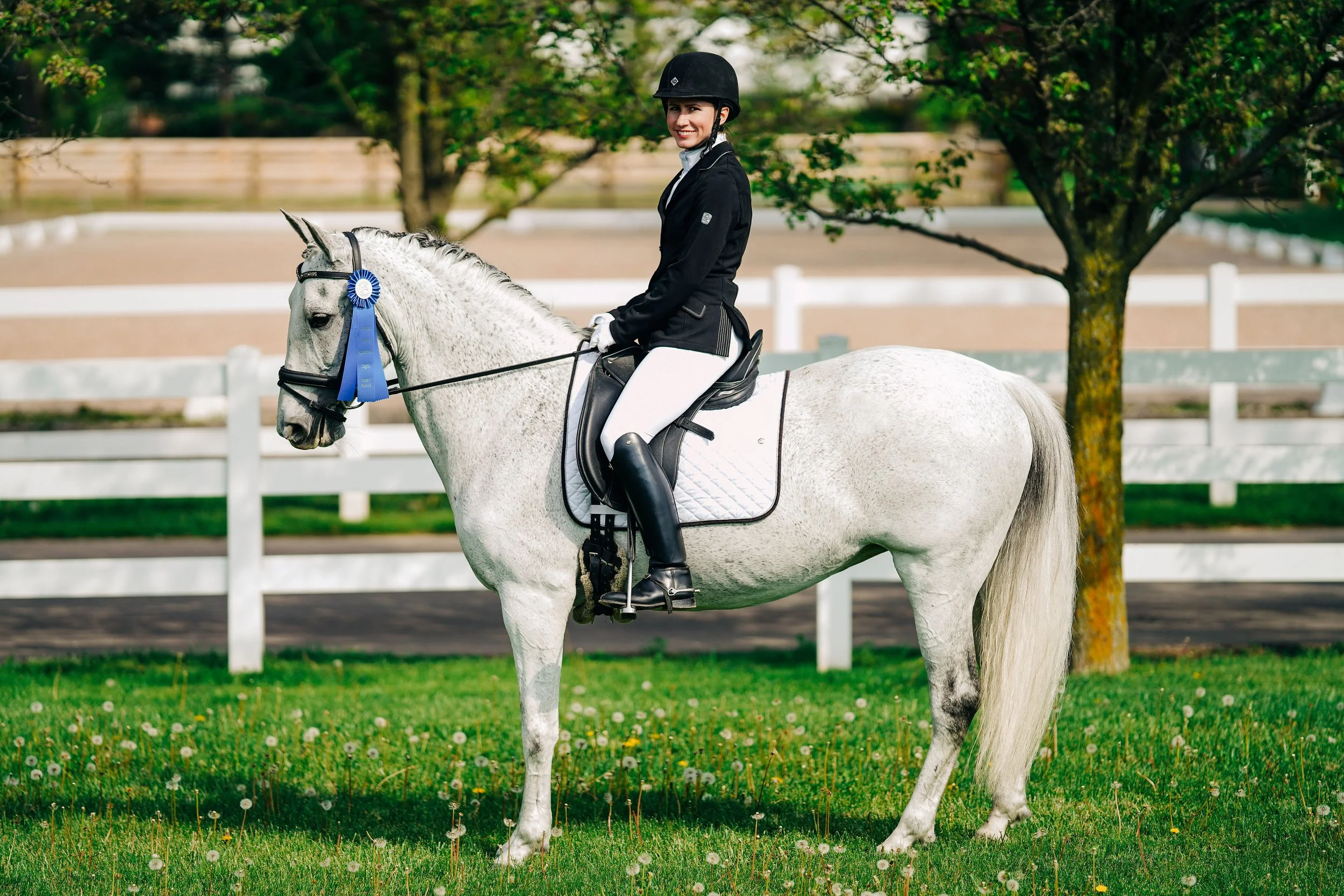 Horses — Grosse Pointe Equestrian