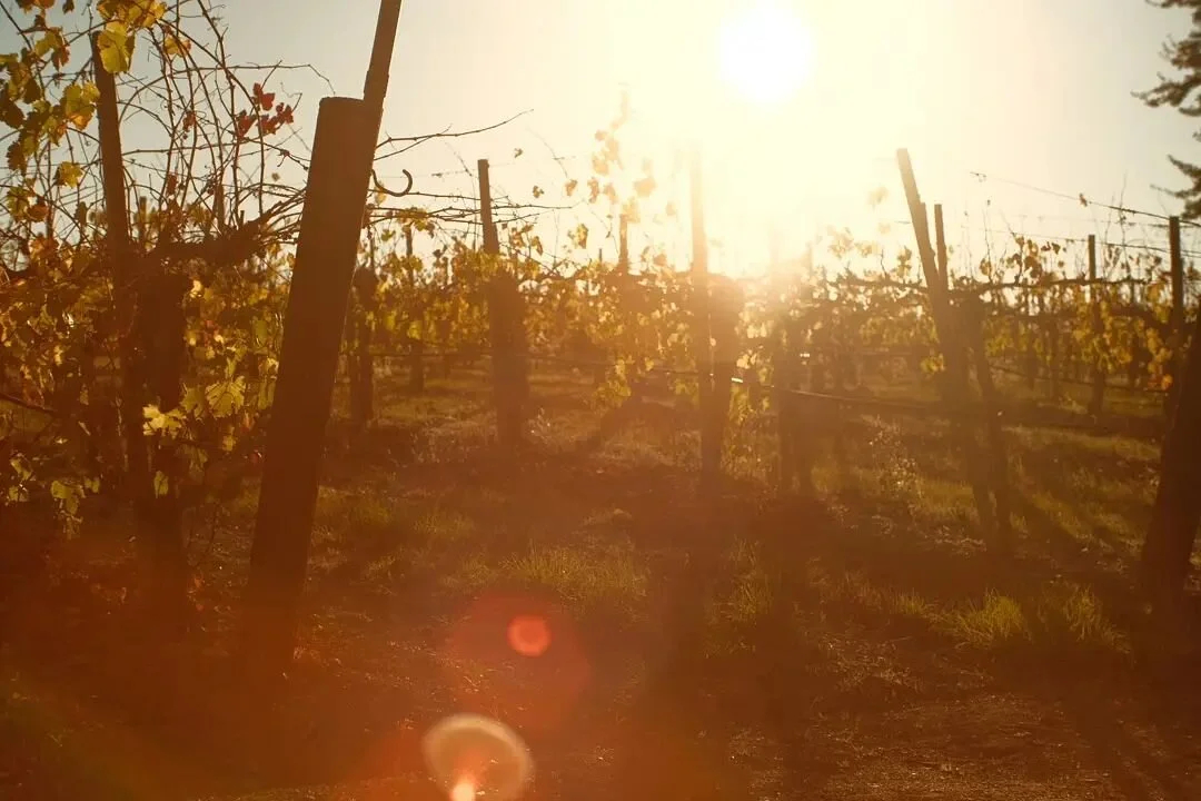 Hil surprised me with a weekend getaway to Santa Ynez wine country, Solvang and the Santa Barbara coast. Truly beautiful part of the world. Thanks for the fun times, darling! But don't be surprised if I avoid red wine for a while 😆

@hilpruss