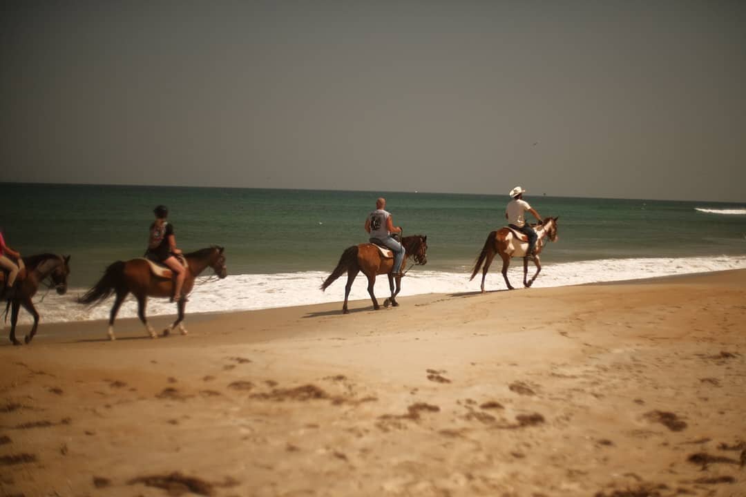 OBX Vacay Part 2

More vacay pics using the same Fujifilm Xt-4 and vintage lens set up

@hilpruss
