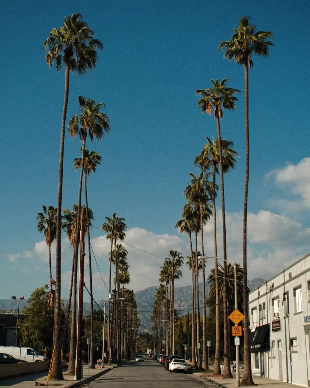 Palms and mountains in Pasadena CA

#fujifilmxt4 #flektogon35mm #pasadenacalifornia  #kodachrome