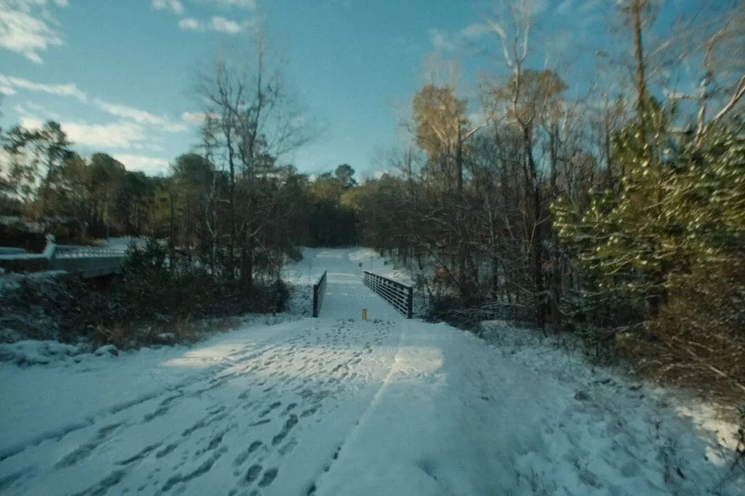 These were taken back in January, after one of the snowstorms that hit Raleigh before I left for CA. The 'dreamy' effect is caused by the lens. Wide open, it's sharp only in the center. It also flares in strong light. Considered major engineering fla