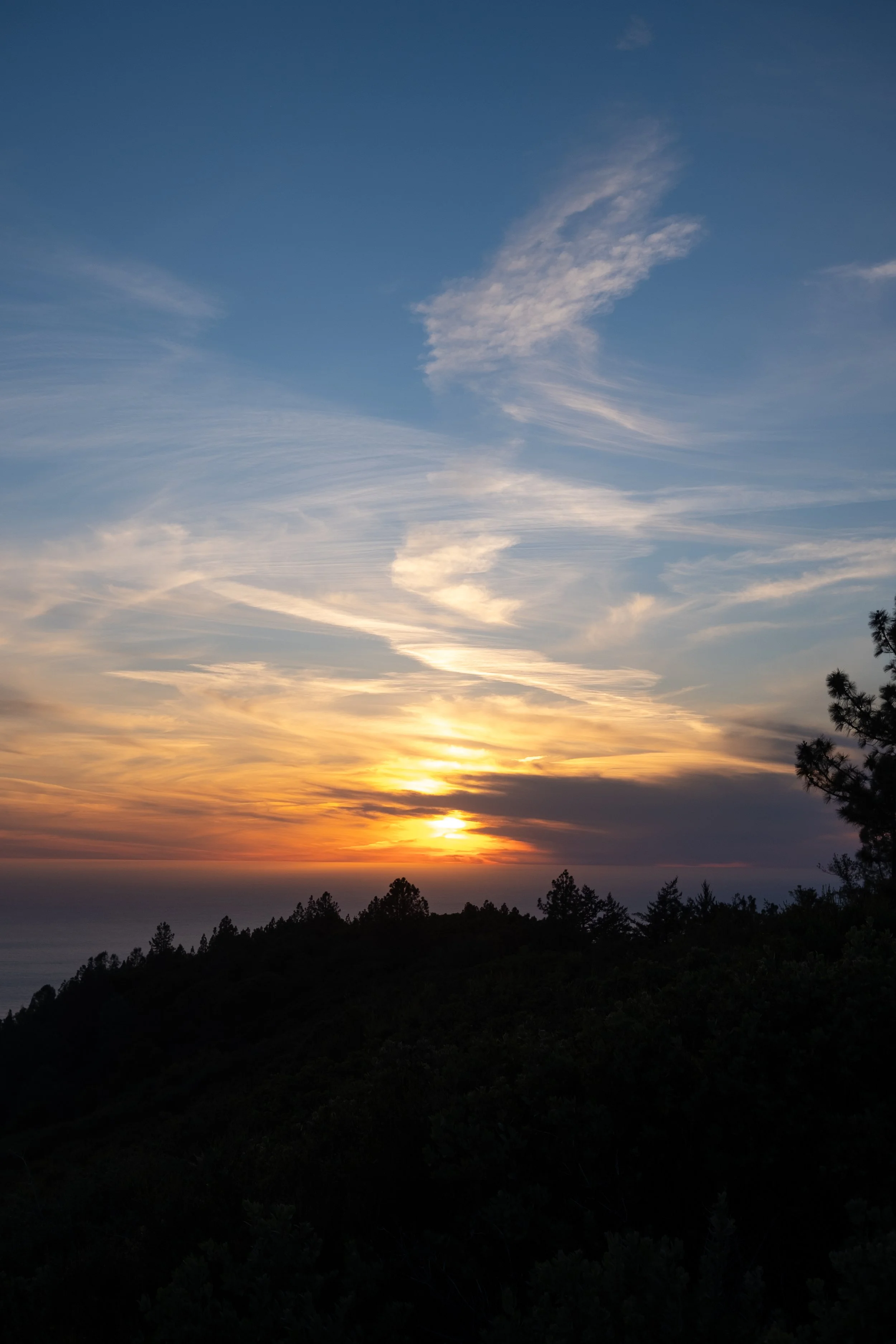 DSCF7930.jpg