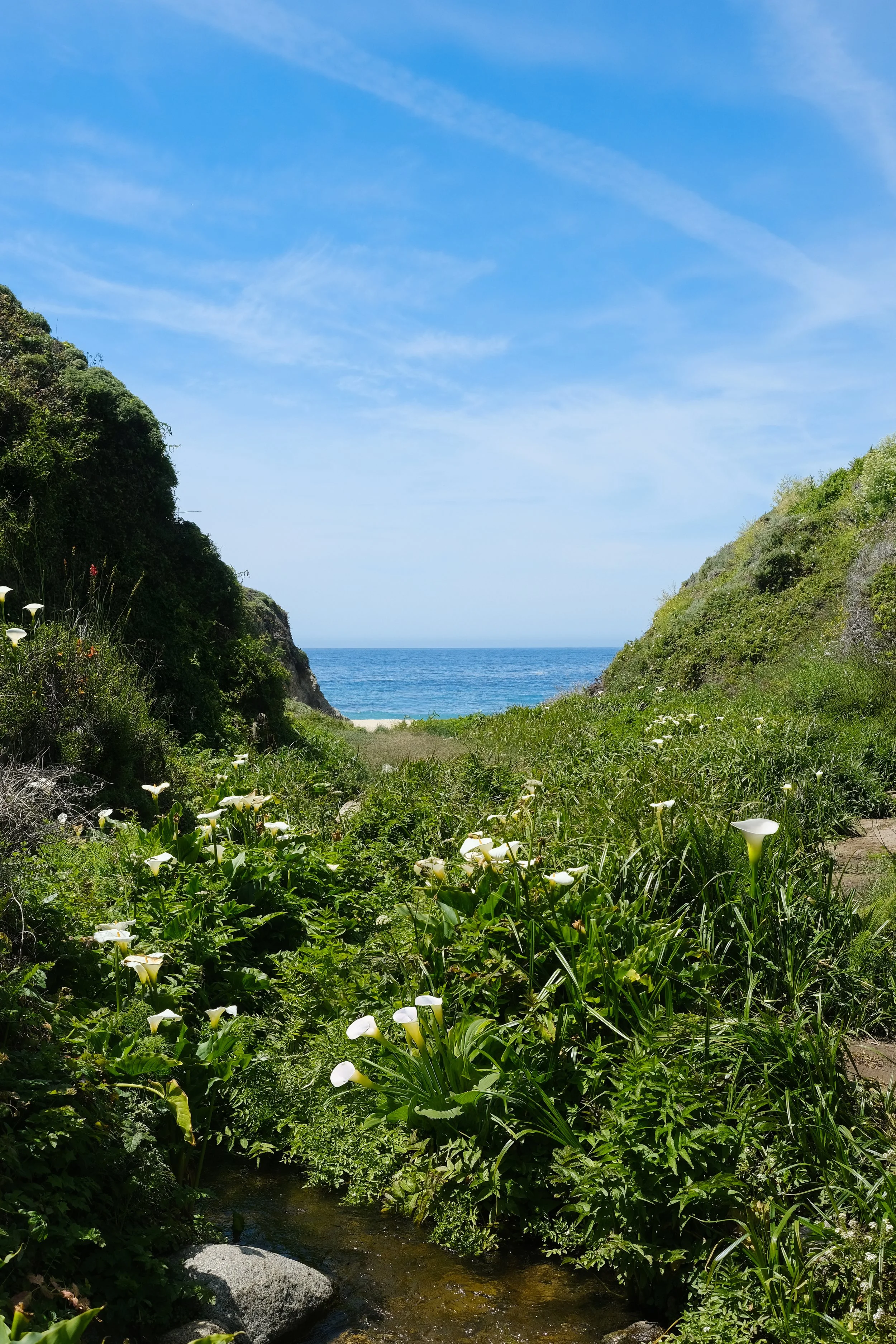 DSCF7962.jpg