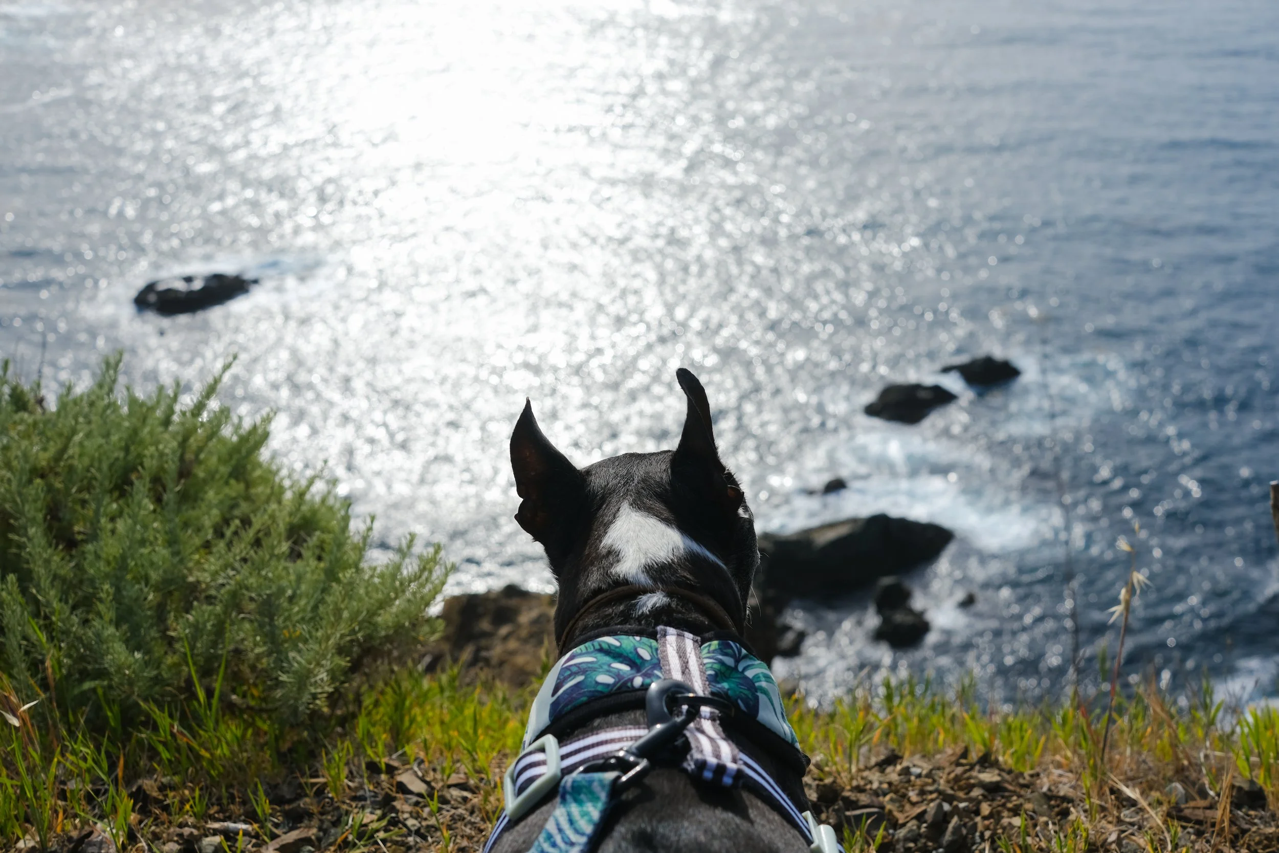 DSCF8170.jpg