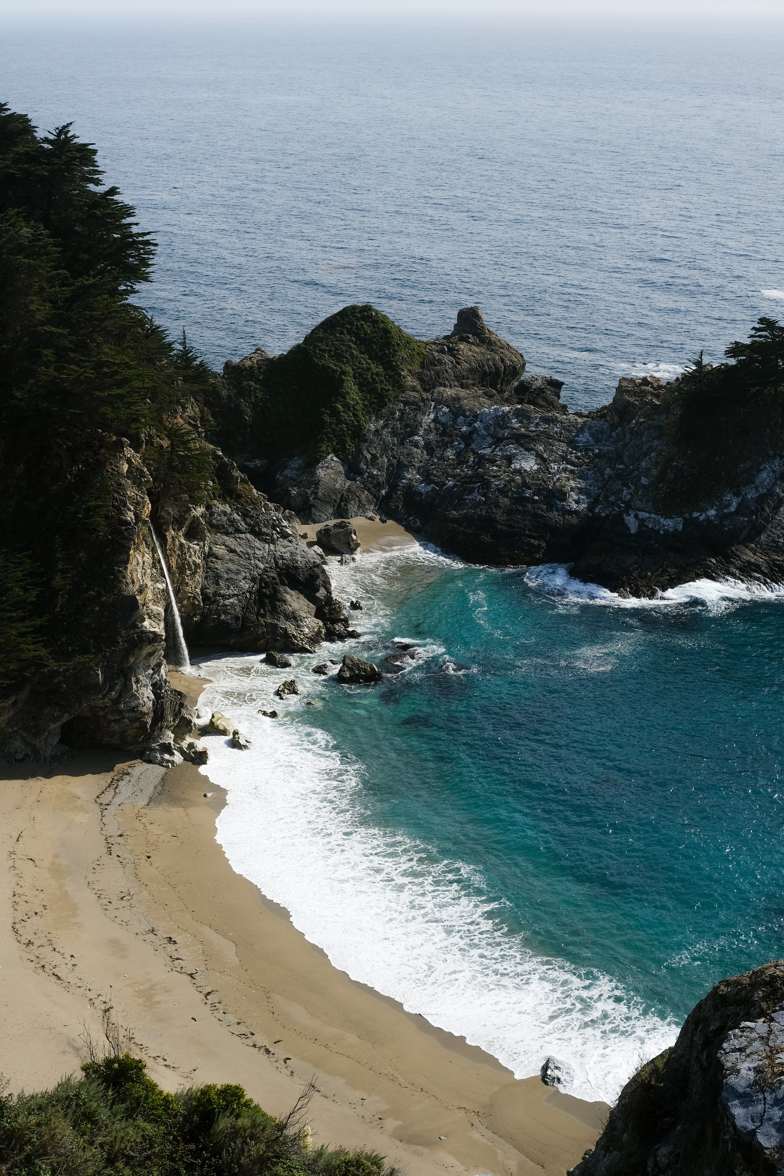 DSCF8133.jpg