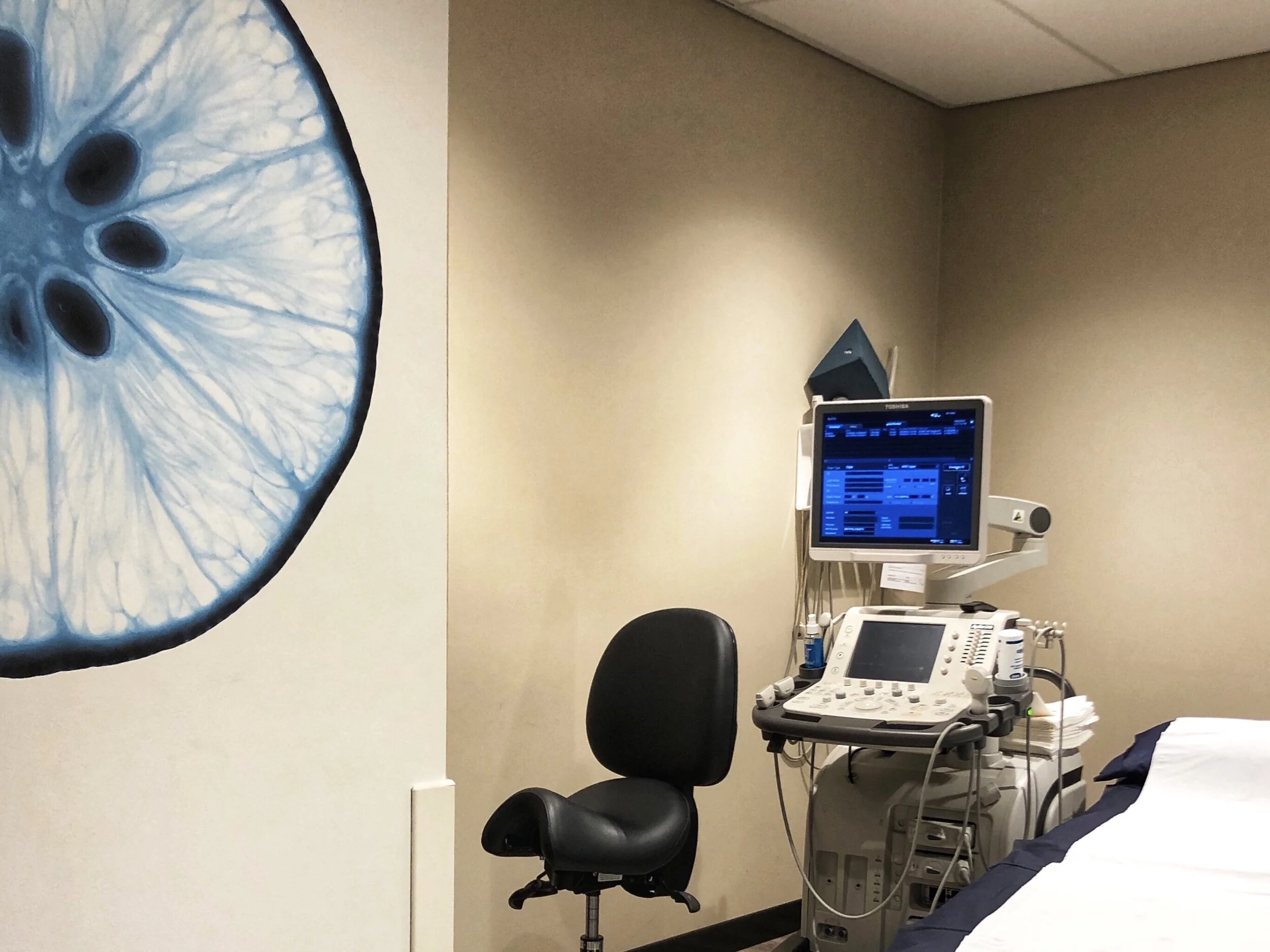 LUMUS IMAGING BLOOMFIELD
