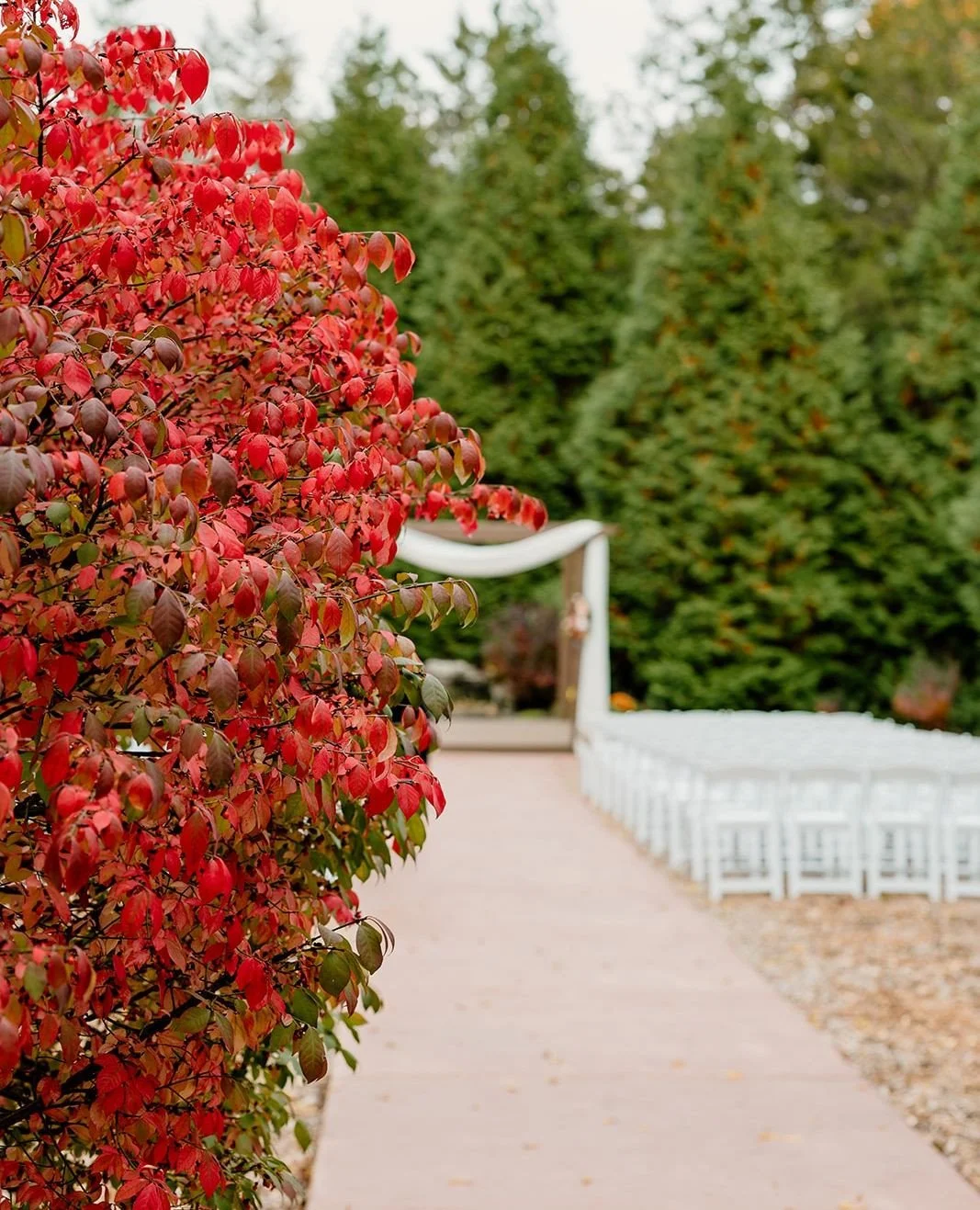 One of our favorite things about weddings at Samuel Cedars is how naturally beautiful the setting is 🌲⁠
⁠
Surrounded by mature cedar trees, our outdoor chapel offers a peaceful, intentional space for saying &ldquo;I do&rdquo; &mdash; no heavy stylin