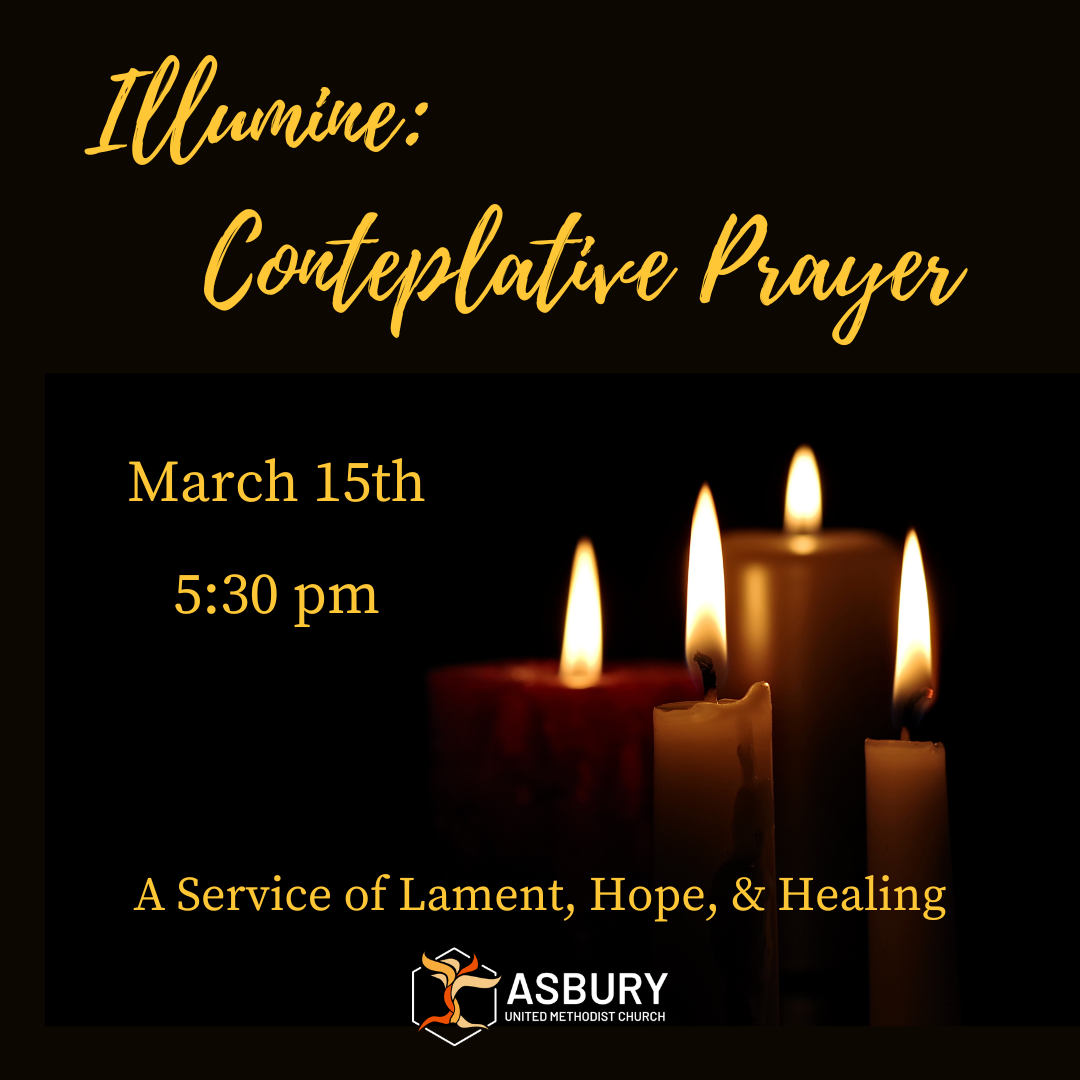 Illumine Service.png