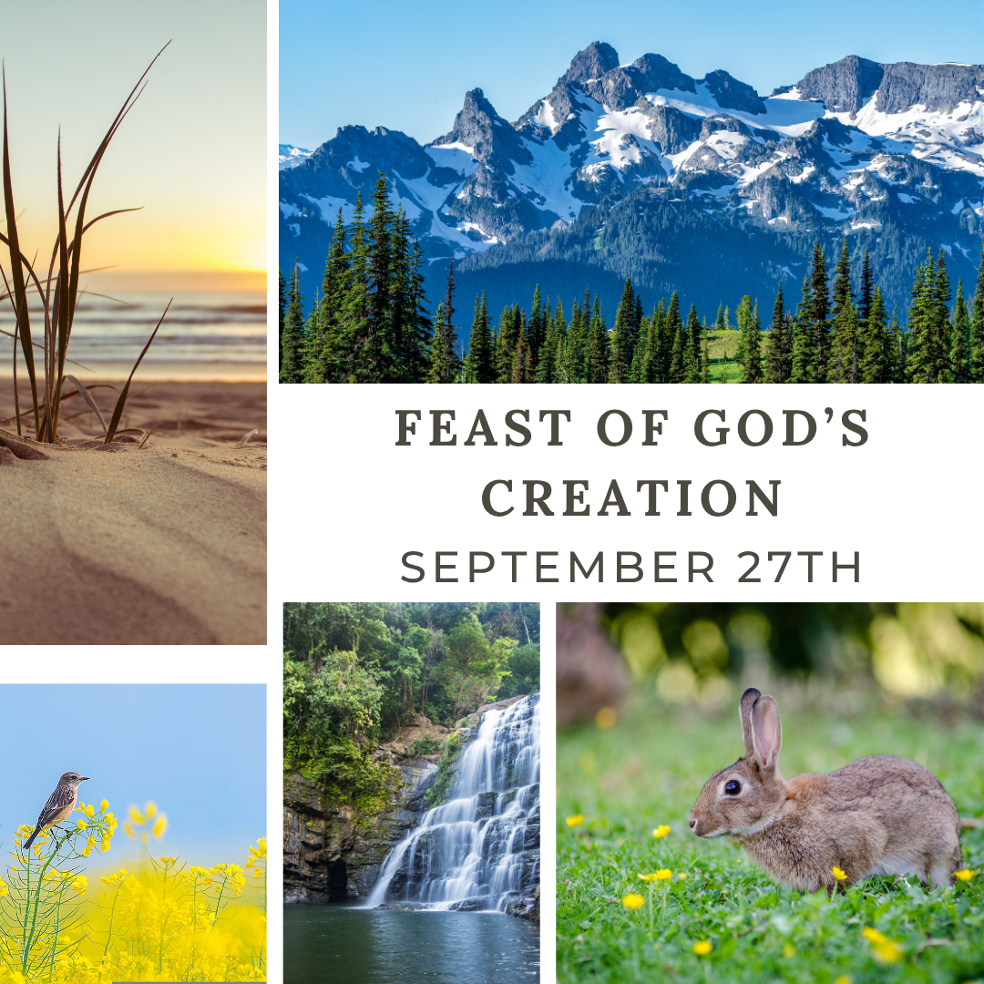 feast of God's creation.png