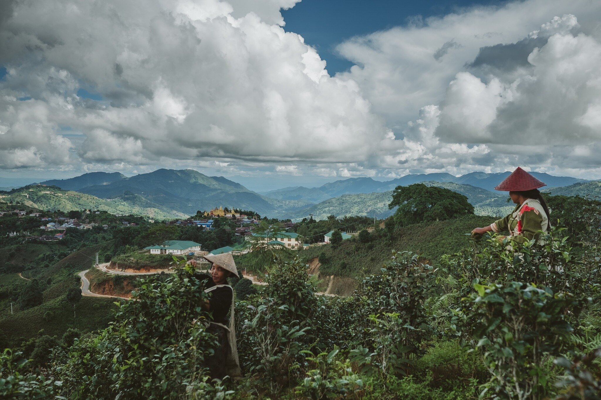 The magic behind Burma Love Foods begins in the Shan State mountains of Burma. This land covers almost a quarter of Burma and is home to the highest quality tea leaves grown today. After years of trade embargoes, it is remarkable that these tea leave