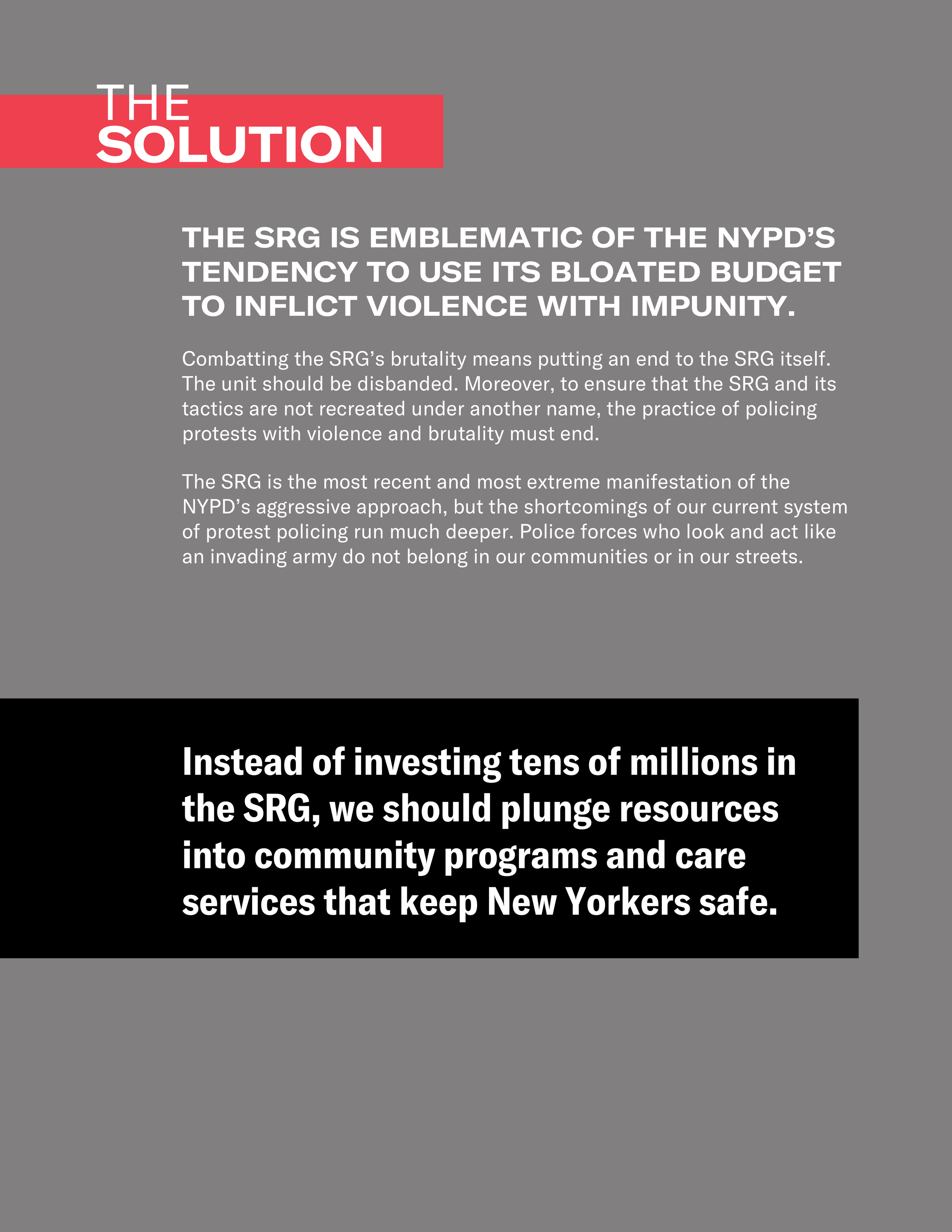 nyclu - srg 2 pager 12.png