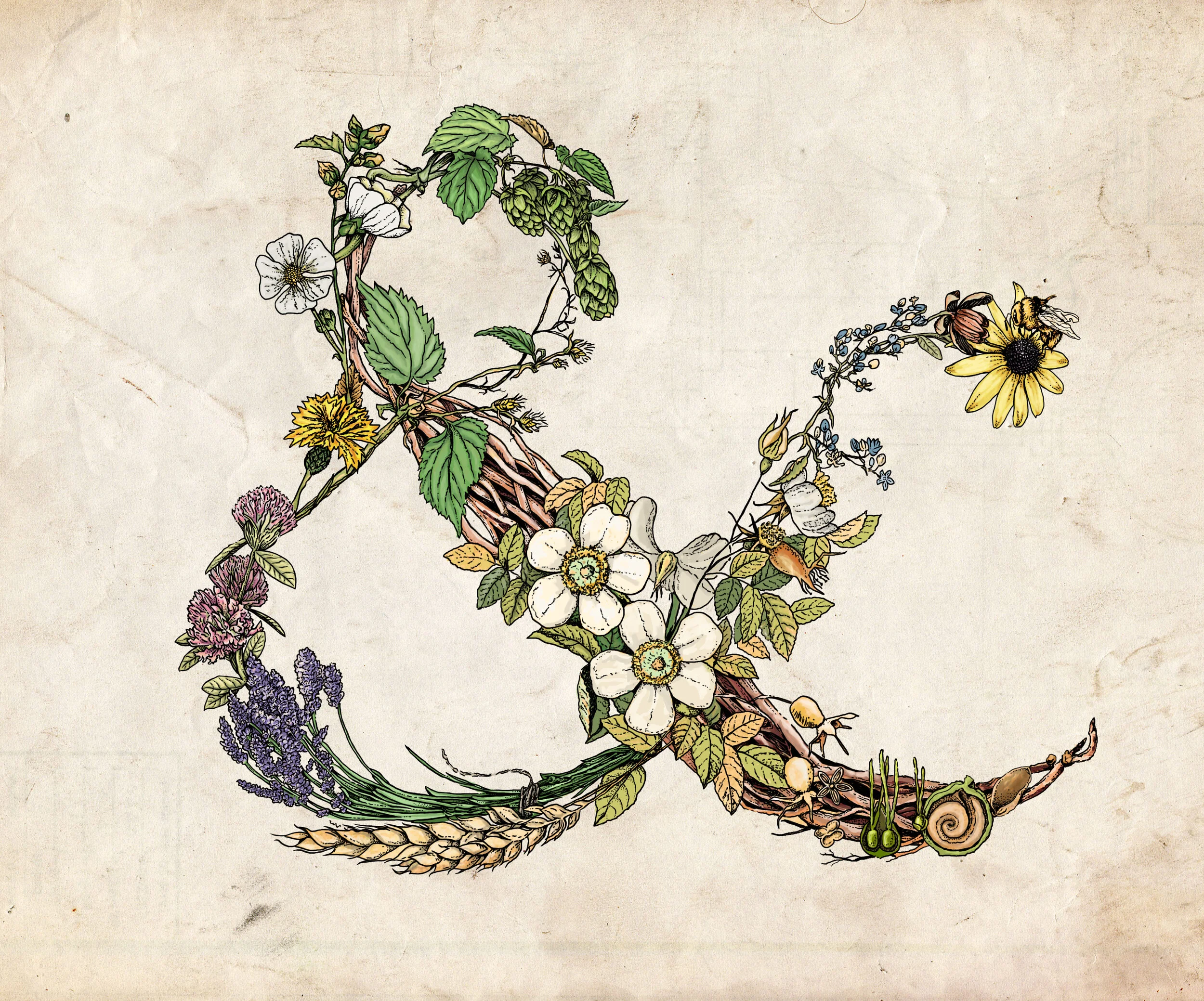 03_Botanical ampersand_oldpaper_background.jpg