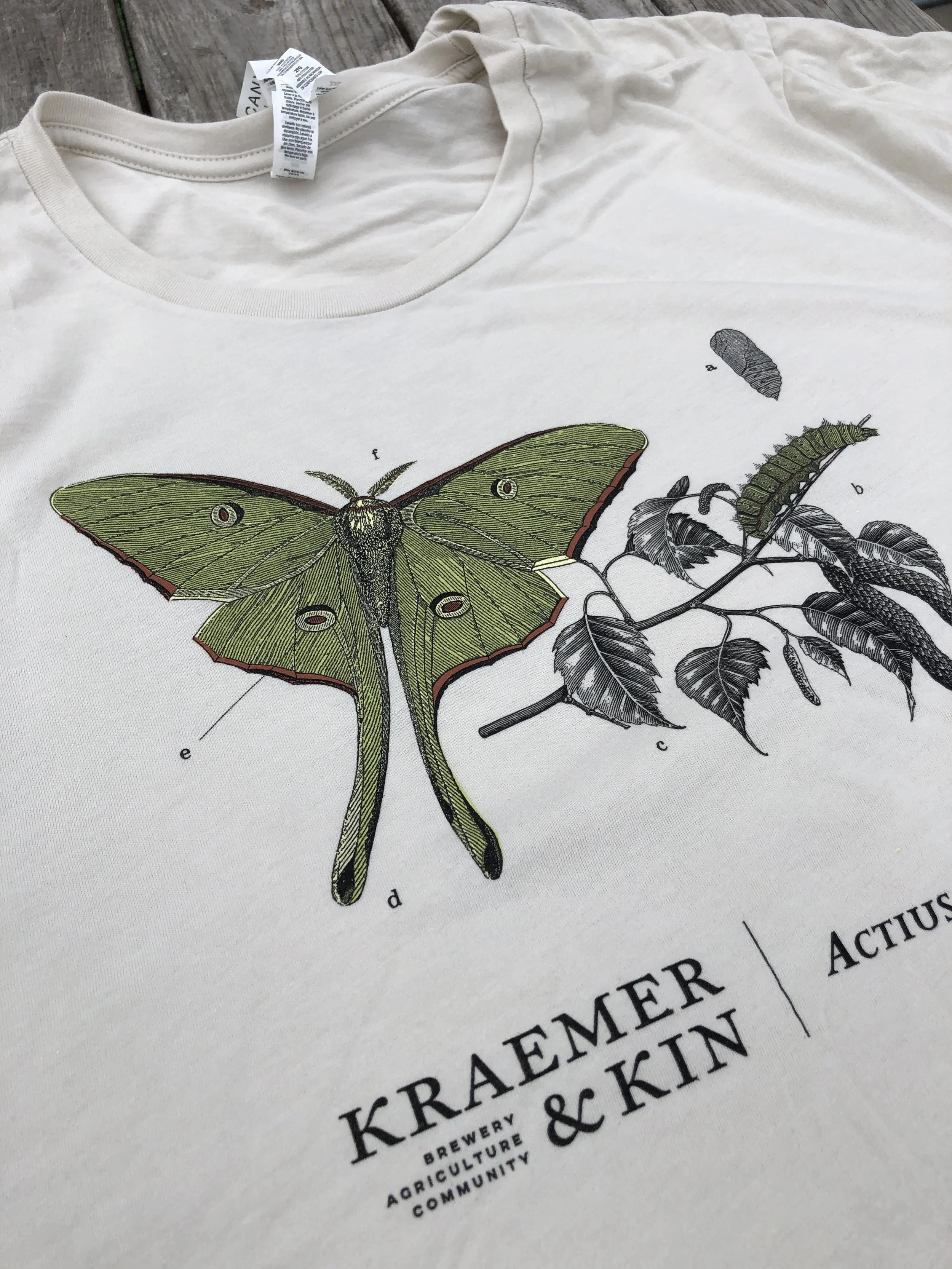 Luna Moth Tee
