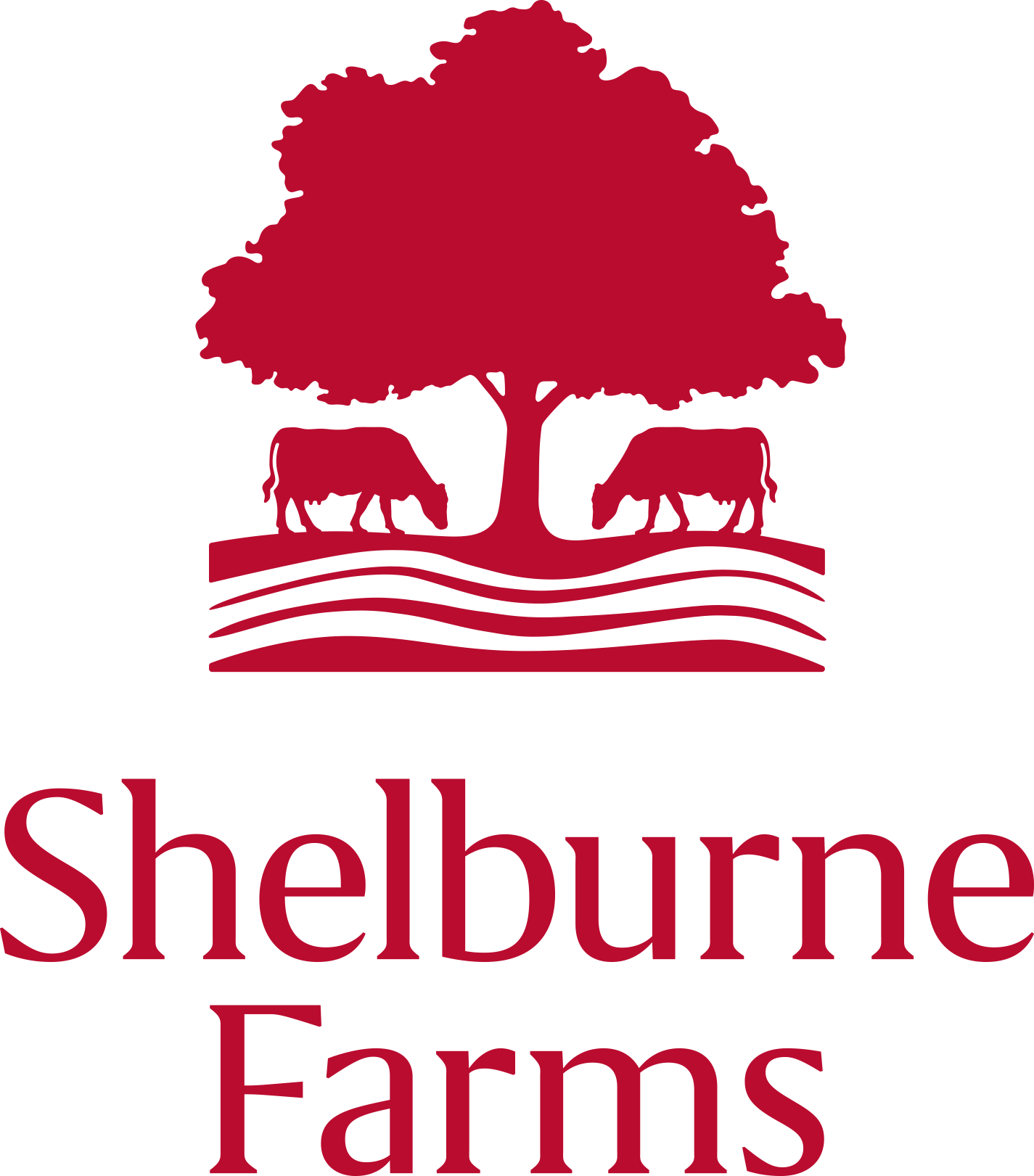 Beer &amp; Cheese with Shelburne Farms 