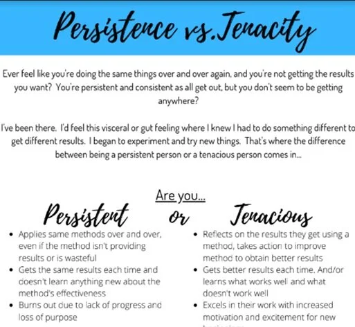 Persistence vs. Tenacity—Do you practice these 4 steps?