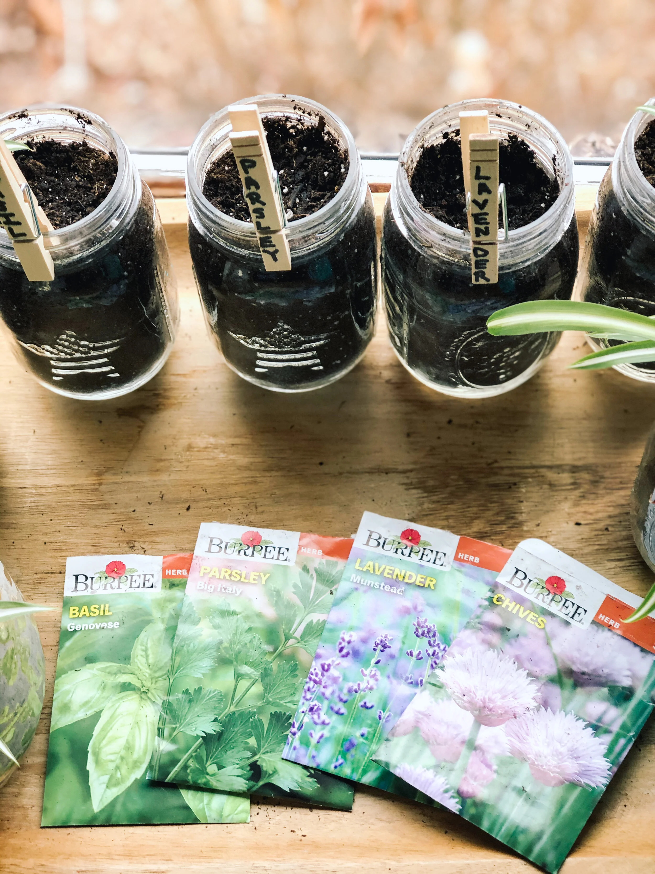 Planting Herbs in Mason Jars and Bruschetta Recipe