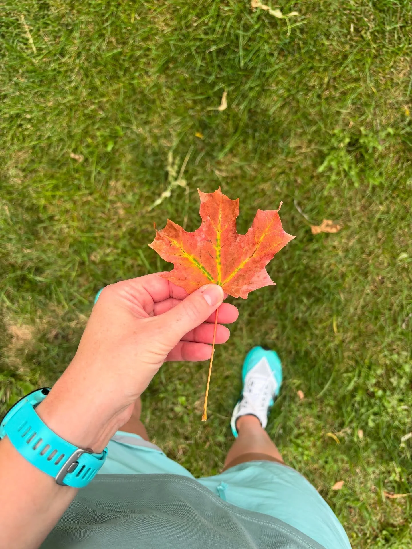 First fall leaf spotted of the year! Our neighbor has a tree that seems to be turning early.🍁 Got a few great runs in this past week. My goal for running this summer has been to enjoy nature and be present in those moments when I&rsquo;m able to be 