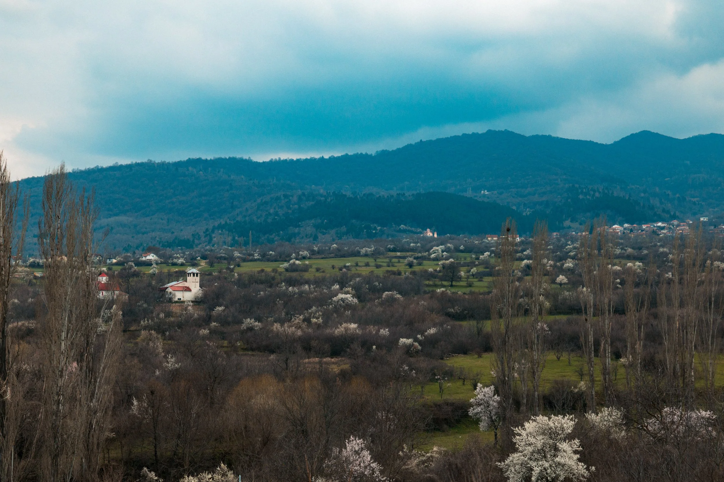 3_00116.jpg