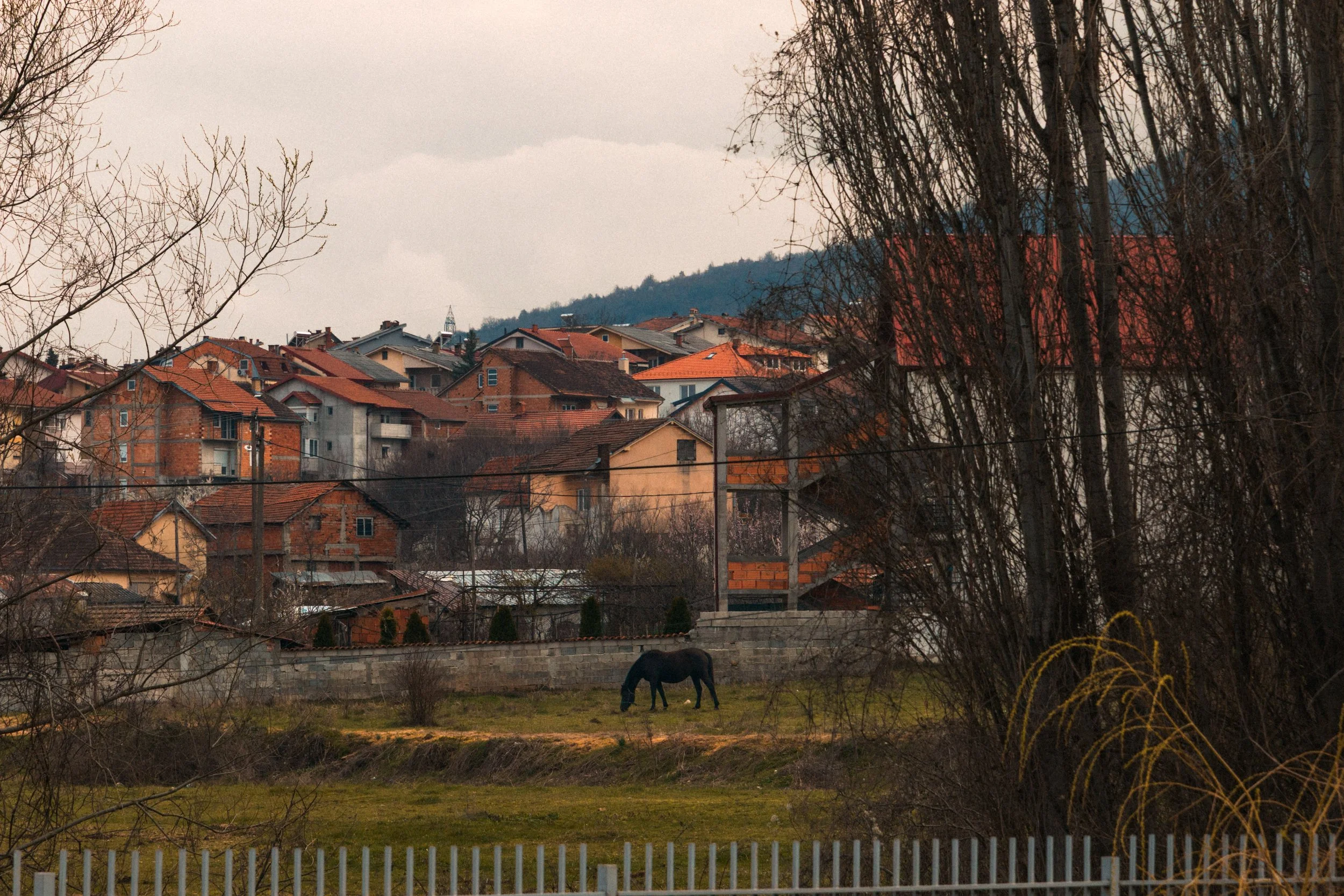 _day2_00015.jpg