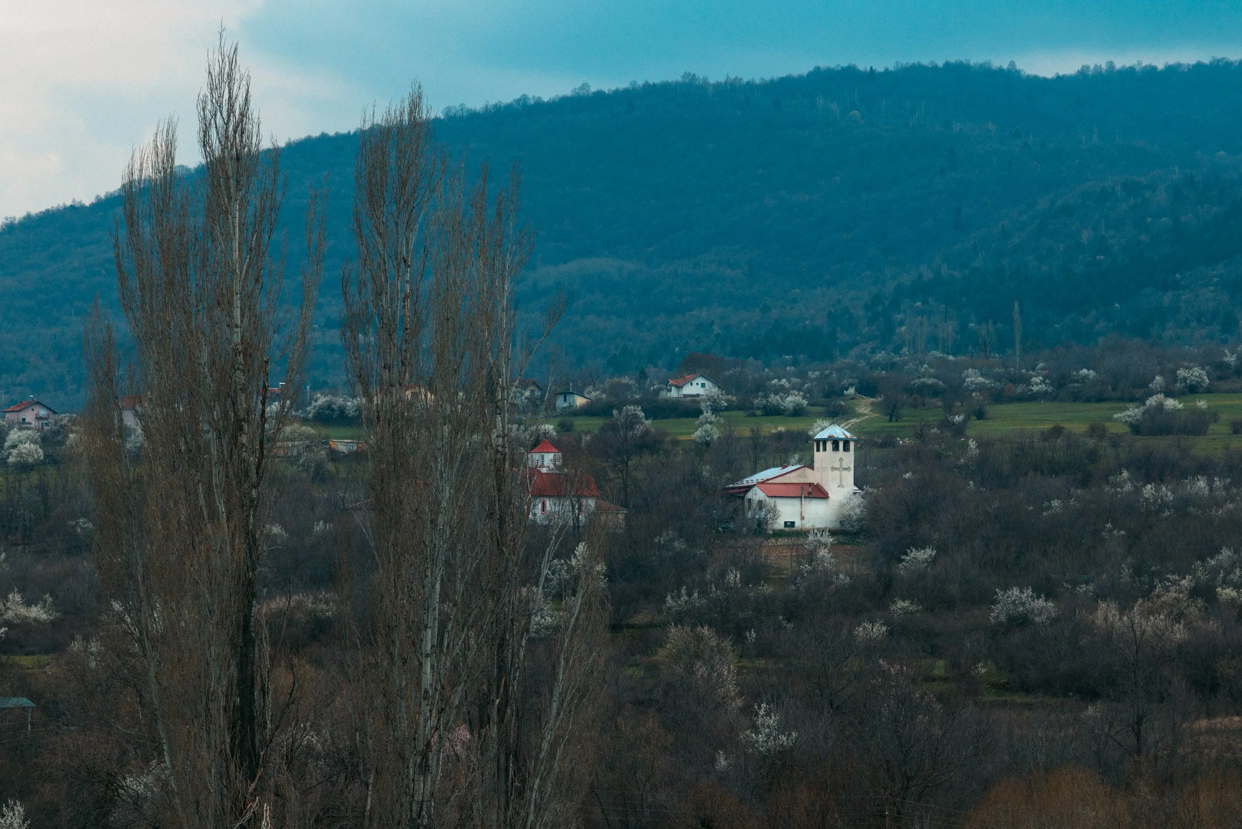 _00118.jpg