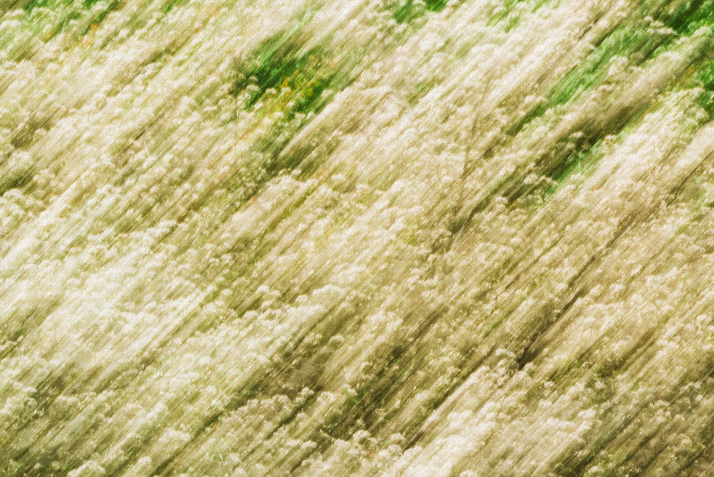 details_00021.jpg