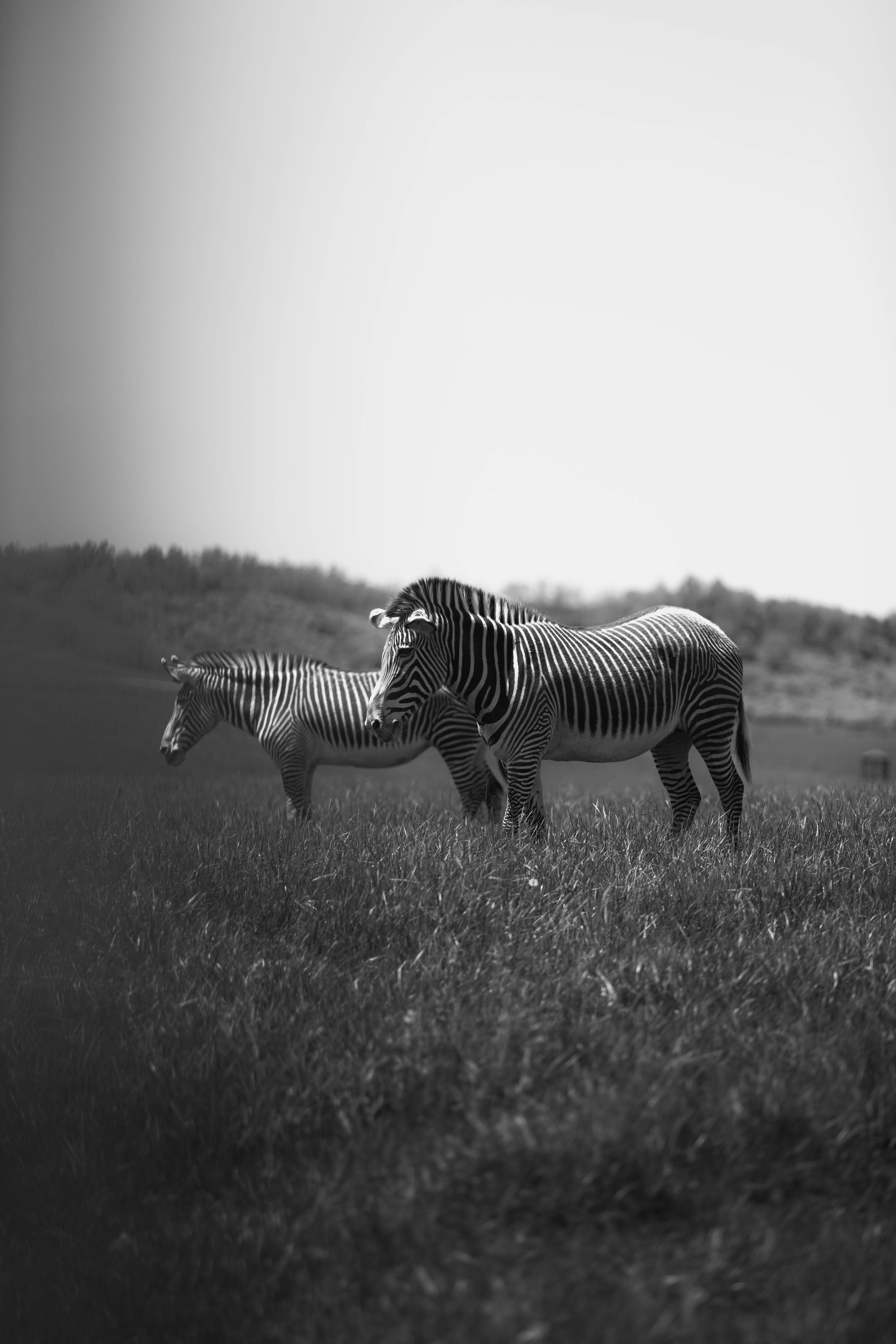 90.jpg