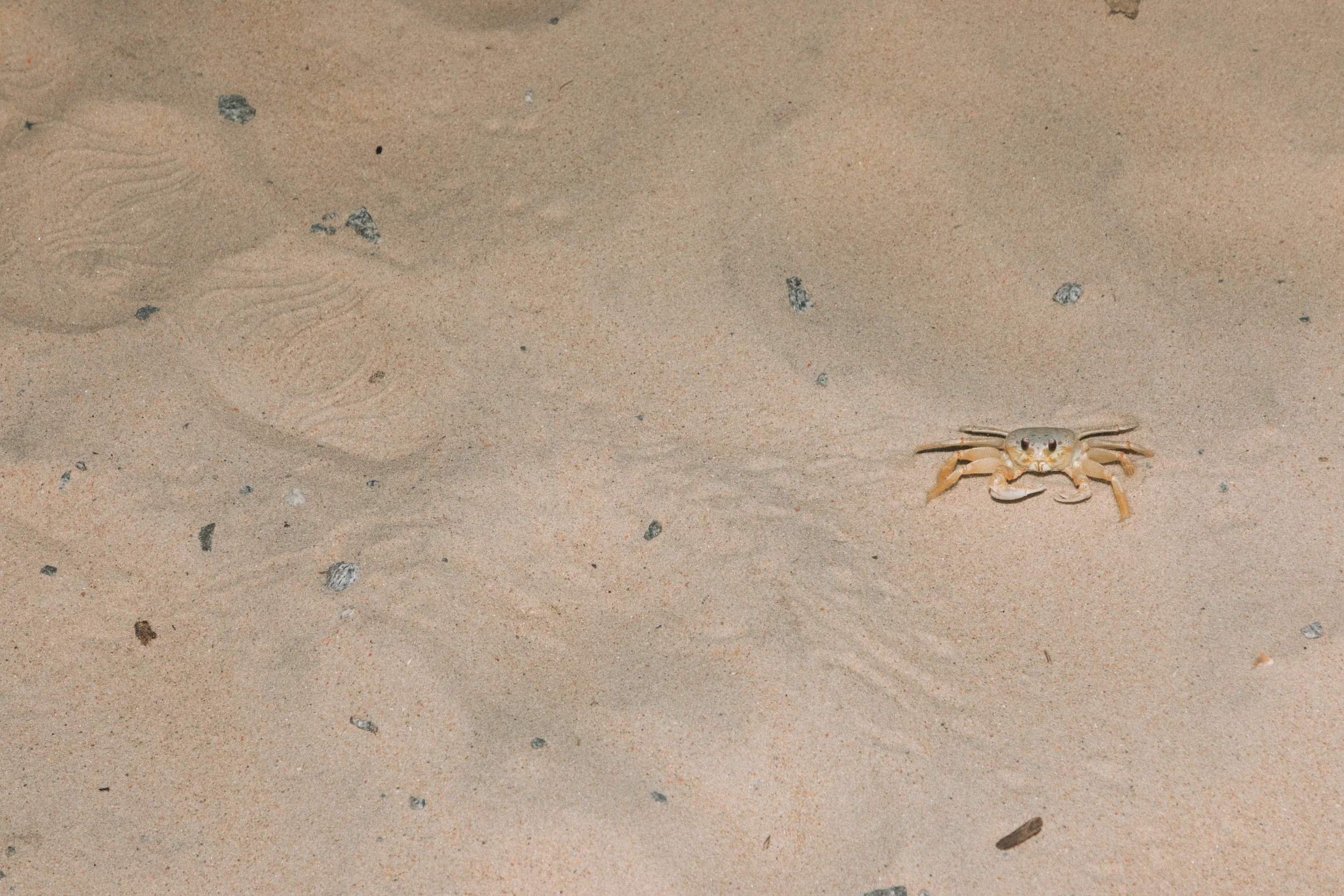 _A0A9479 (1) (1).jpg