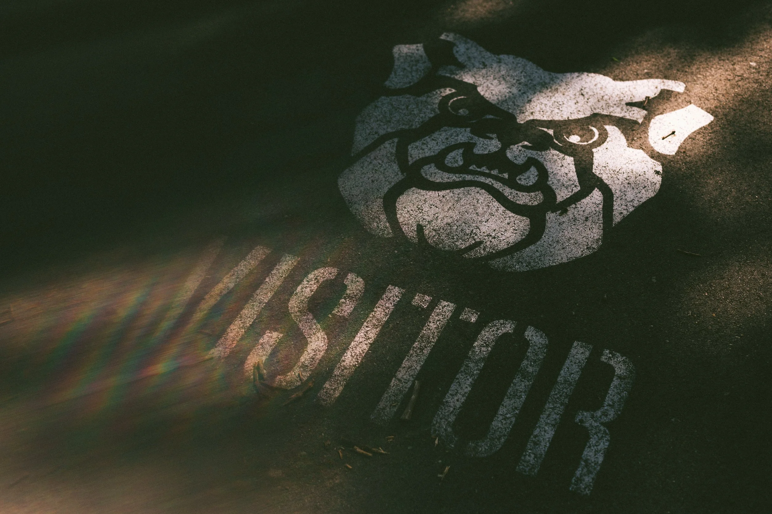 details_00050.jpg