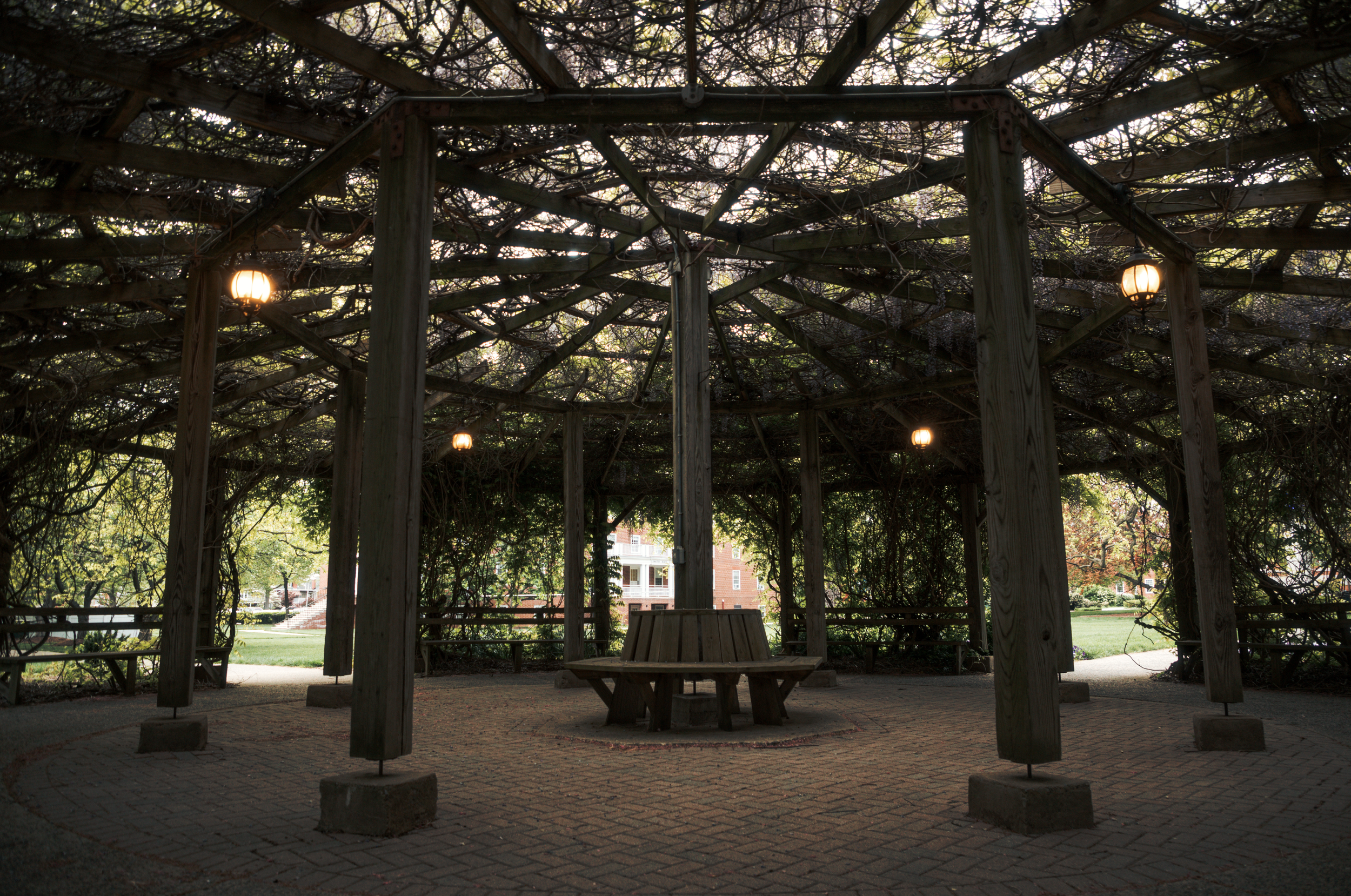 Screenshot 2026-01-20 at 1.07.37 PM.png