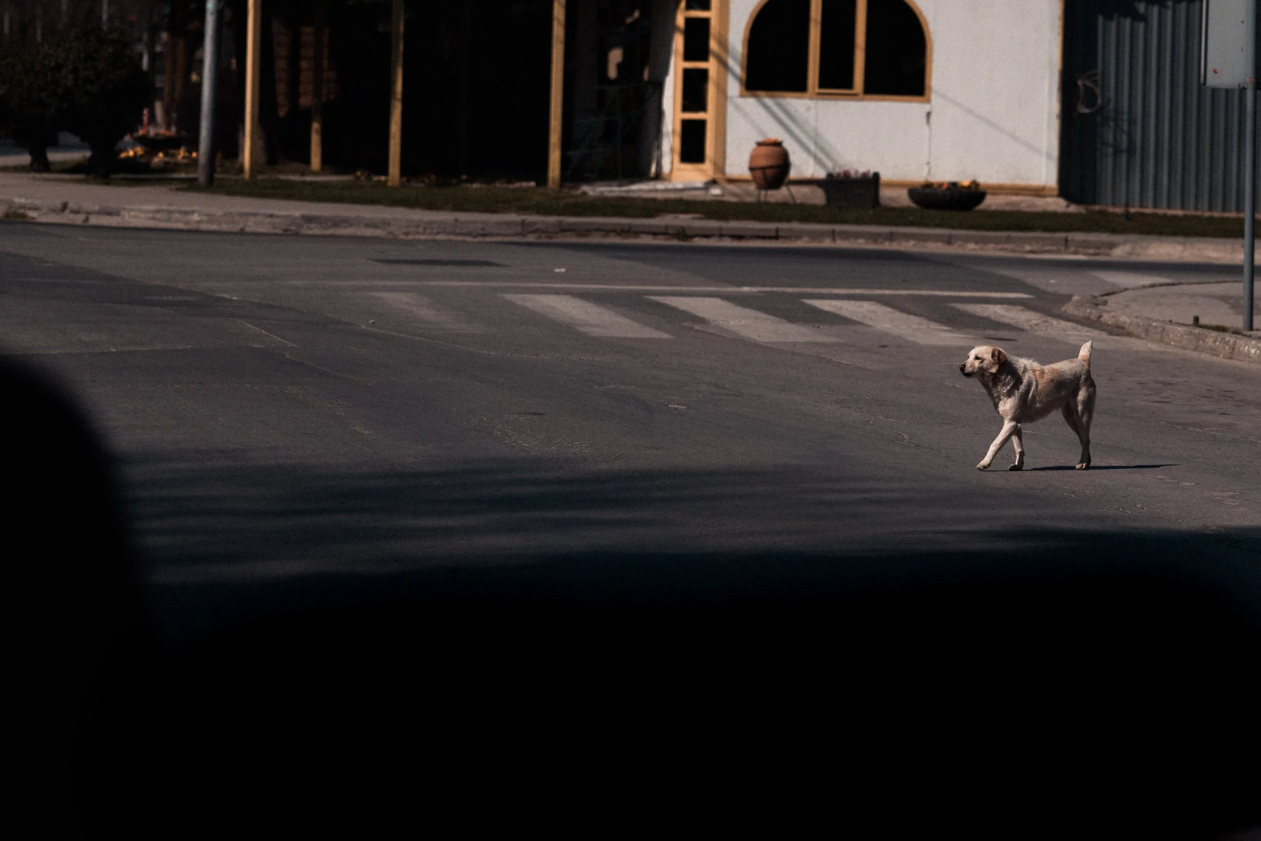 _00099.jpg
