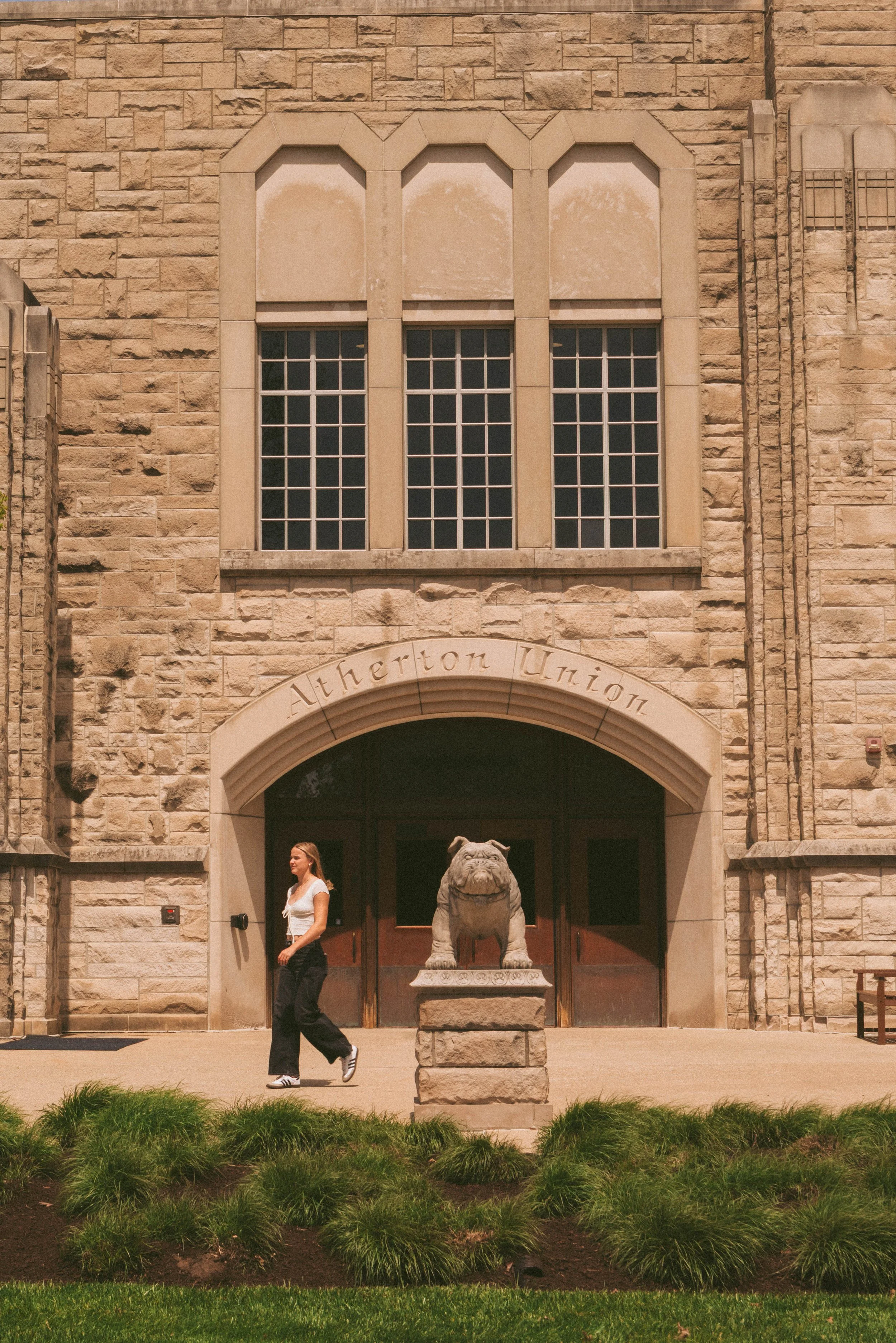 bulldogs_00004.jpg