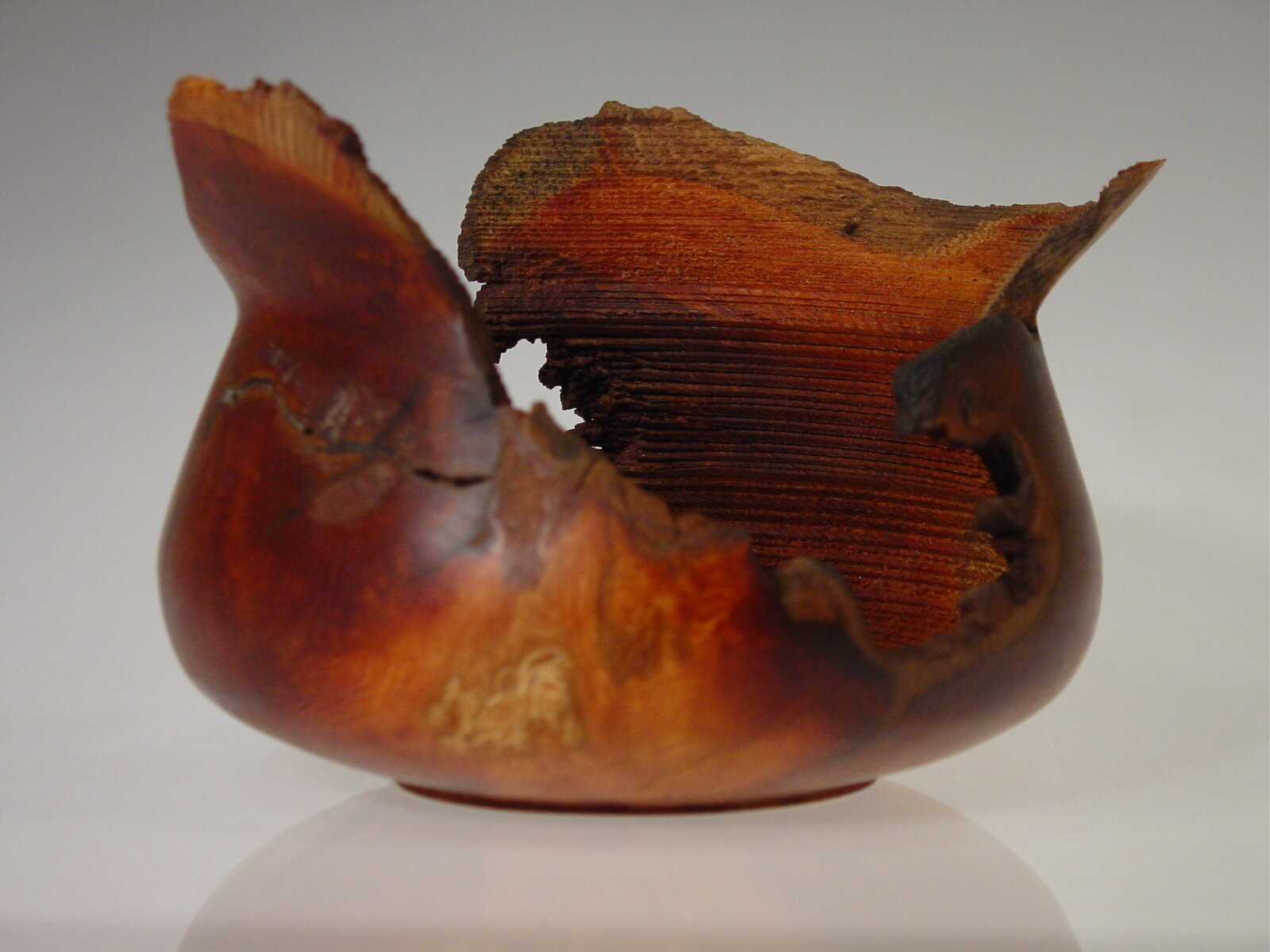 "Salvaged Native"
Native Pear.
200 x 200 x 150 mm