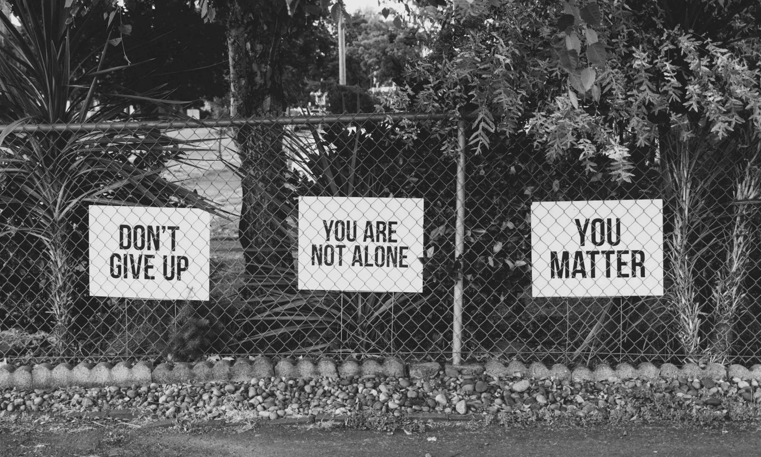 Three signs on a wire fence saying Don't Give up, You Are Not Alone and You Matter