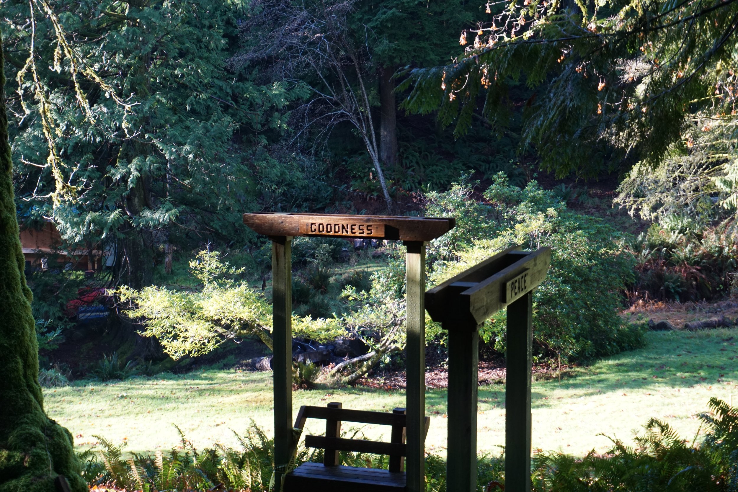 The Goodness bench in the lower chapel