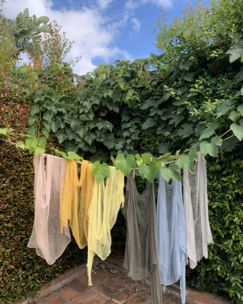 Spring is here 🌸 Let&rsquo;s create beautiful dyes with Mother Nature&rsquo;s gifts!

Join us next April 6th for a Botanical Dyeing 101 Workshop with Andie Thompson @esra_collective 
More info at our Link in Bio🎟️