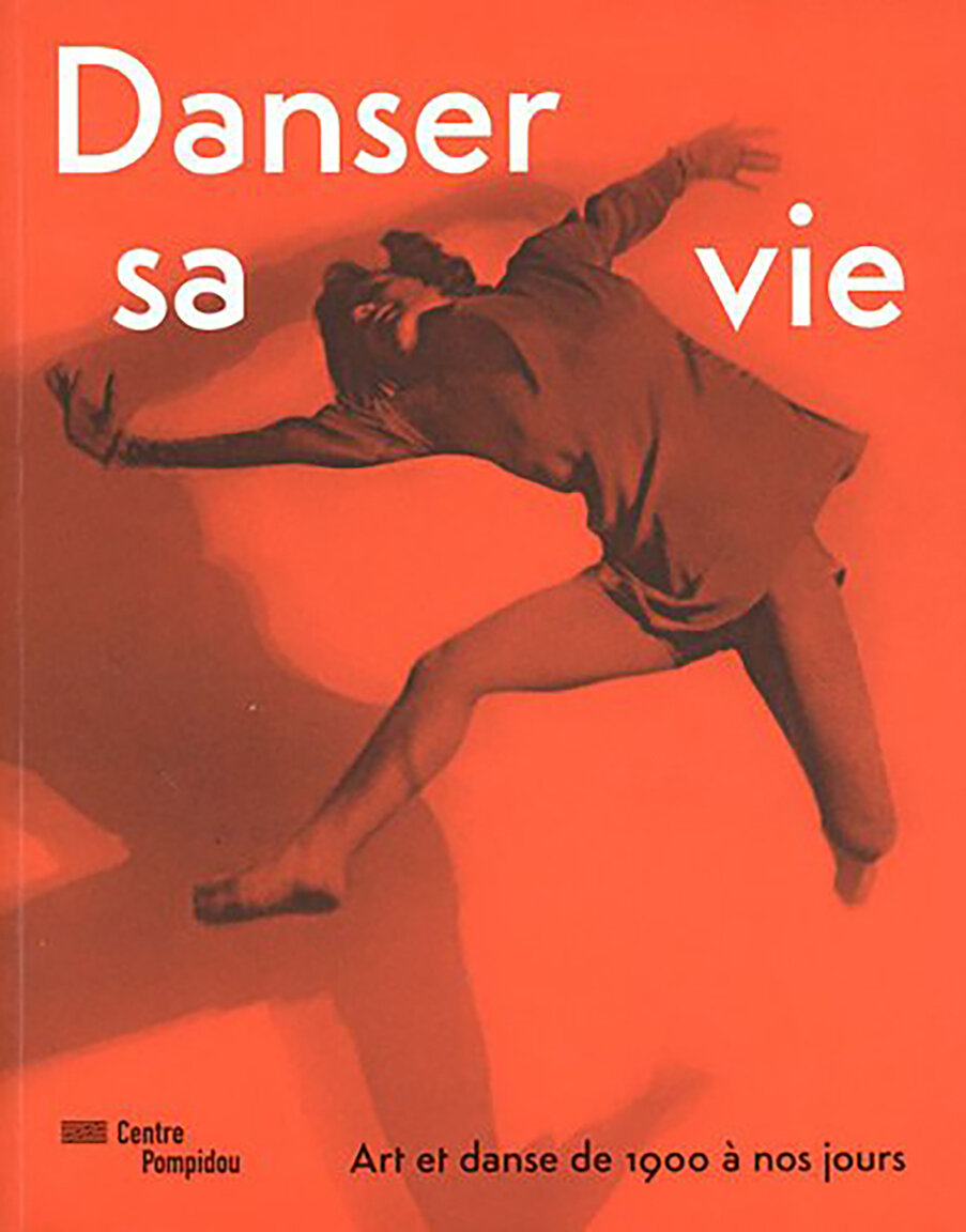 DSV 2011 Cover.jpg