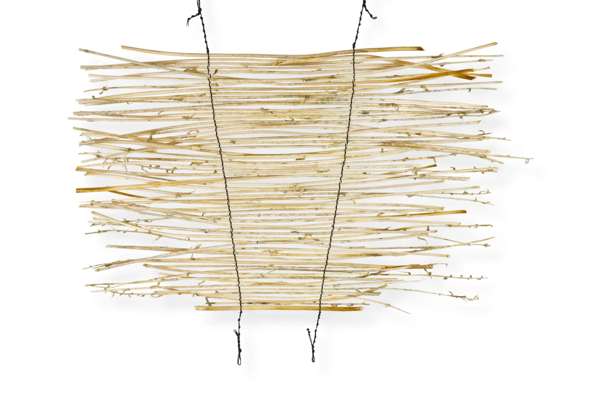 Hosta Flower Stem Blind, stems and waxed black cotton cord, 20 x 24, 2023