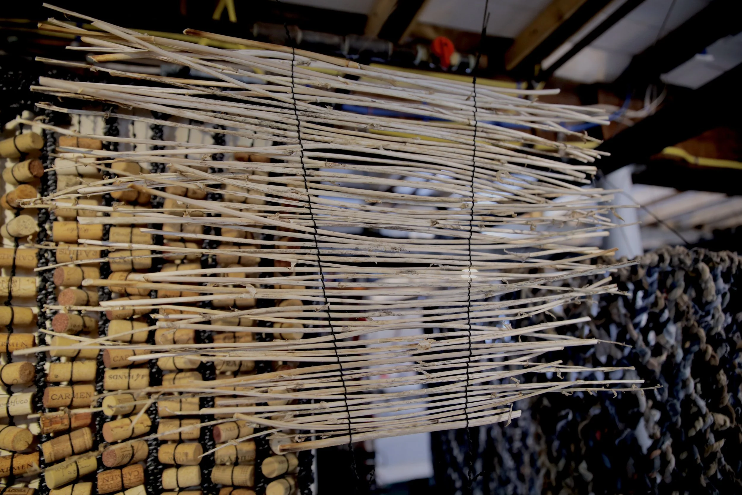 Hosta Flower Stem Blind, 2023, 20 x 24, Stem and Waxed Black Cotton Cord.