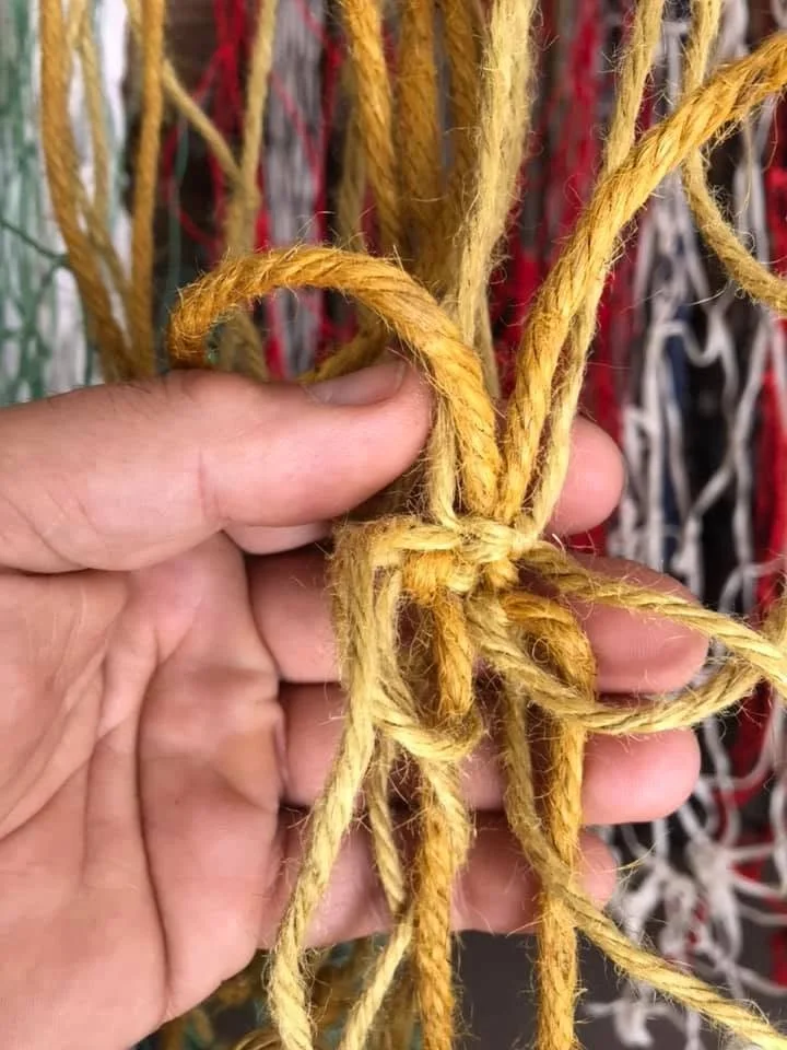 Rope Spider, 2021