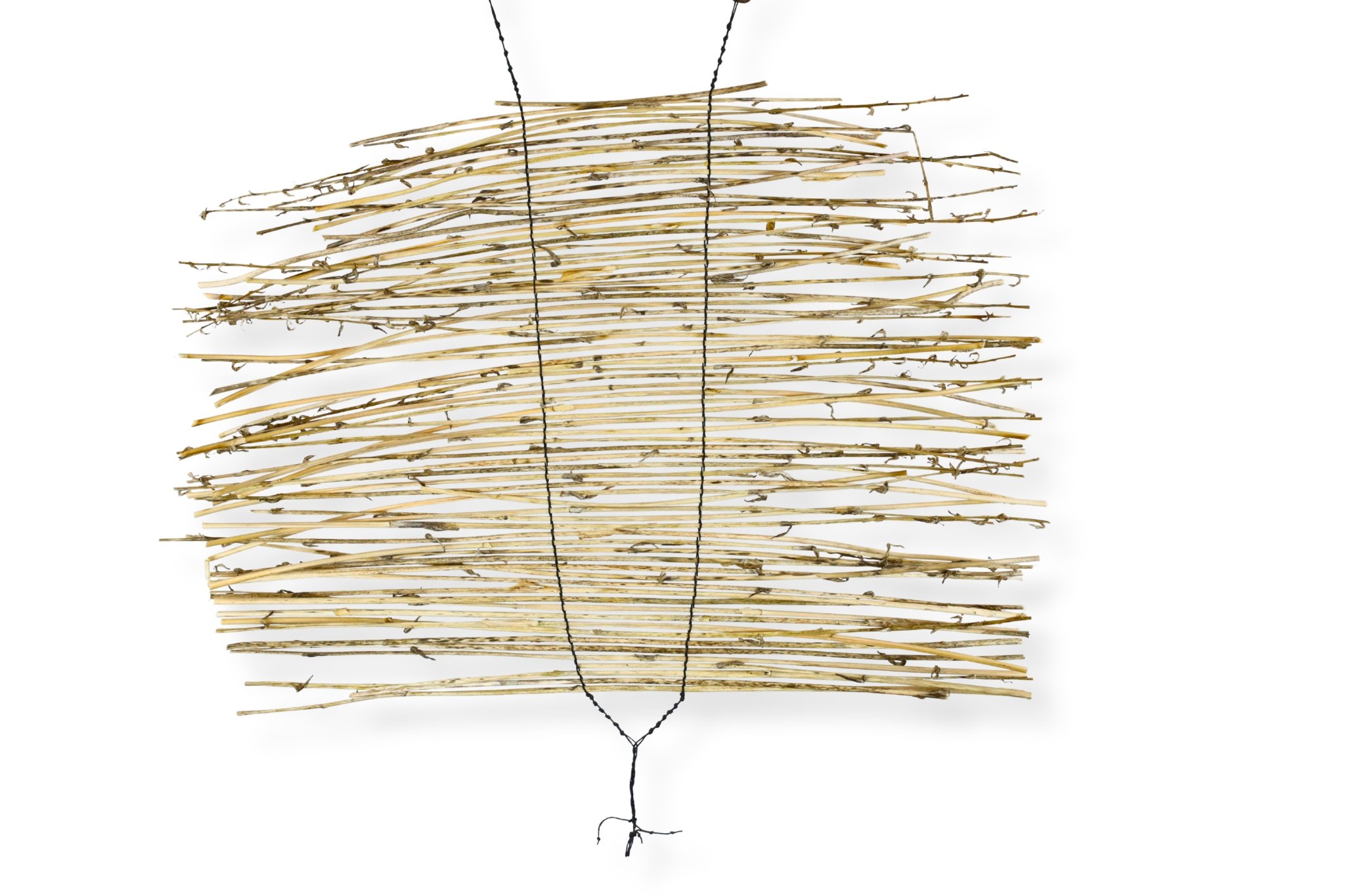 Hosta Flower Stem Blind, stems and waxed black cotton cord, 20 x 24, 2023